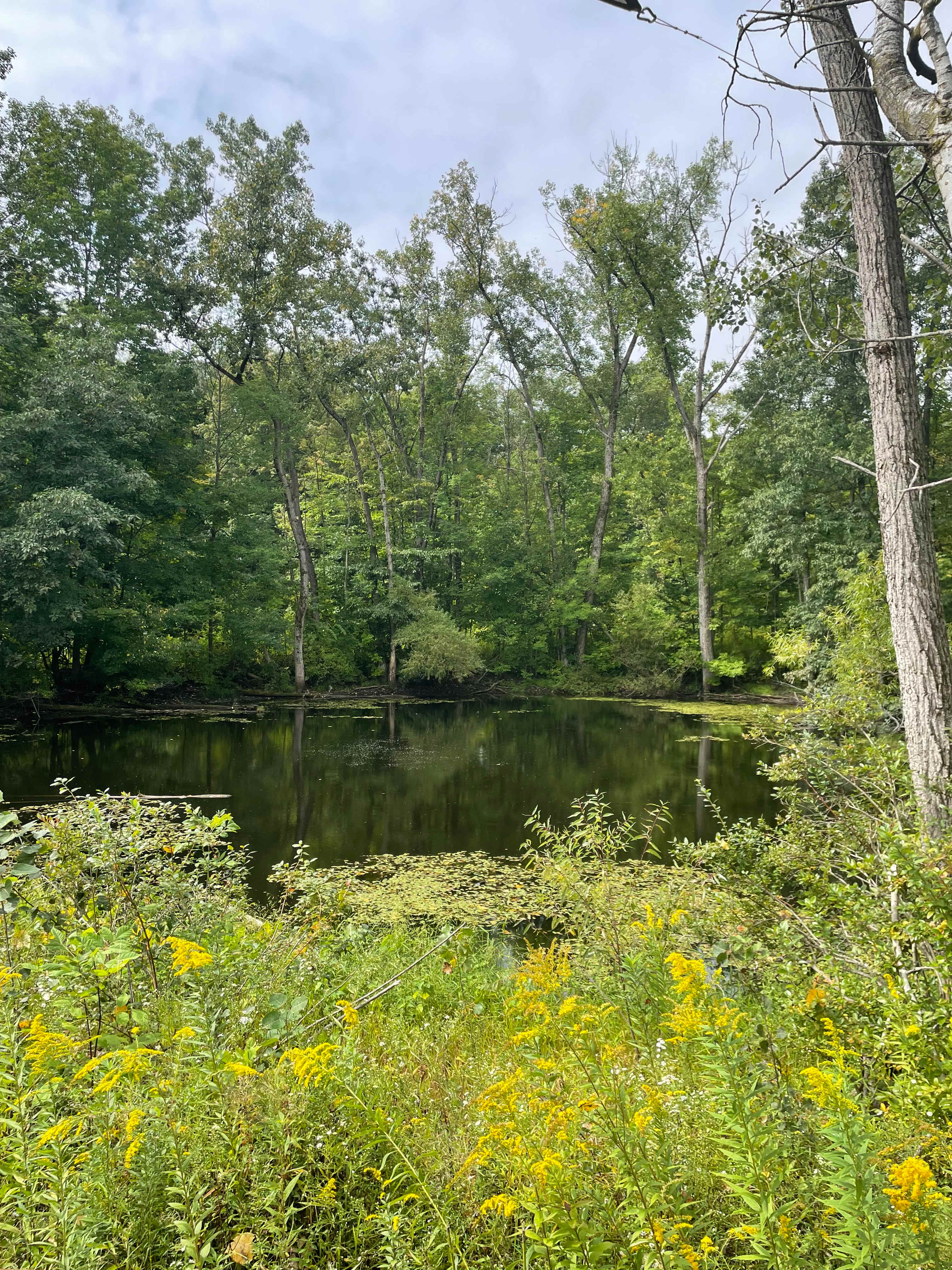 High Falls Farm