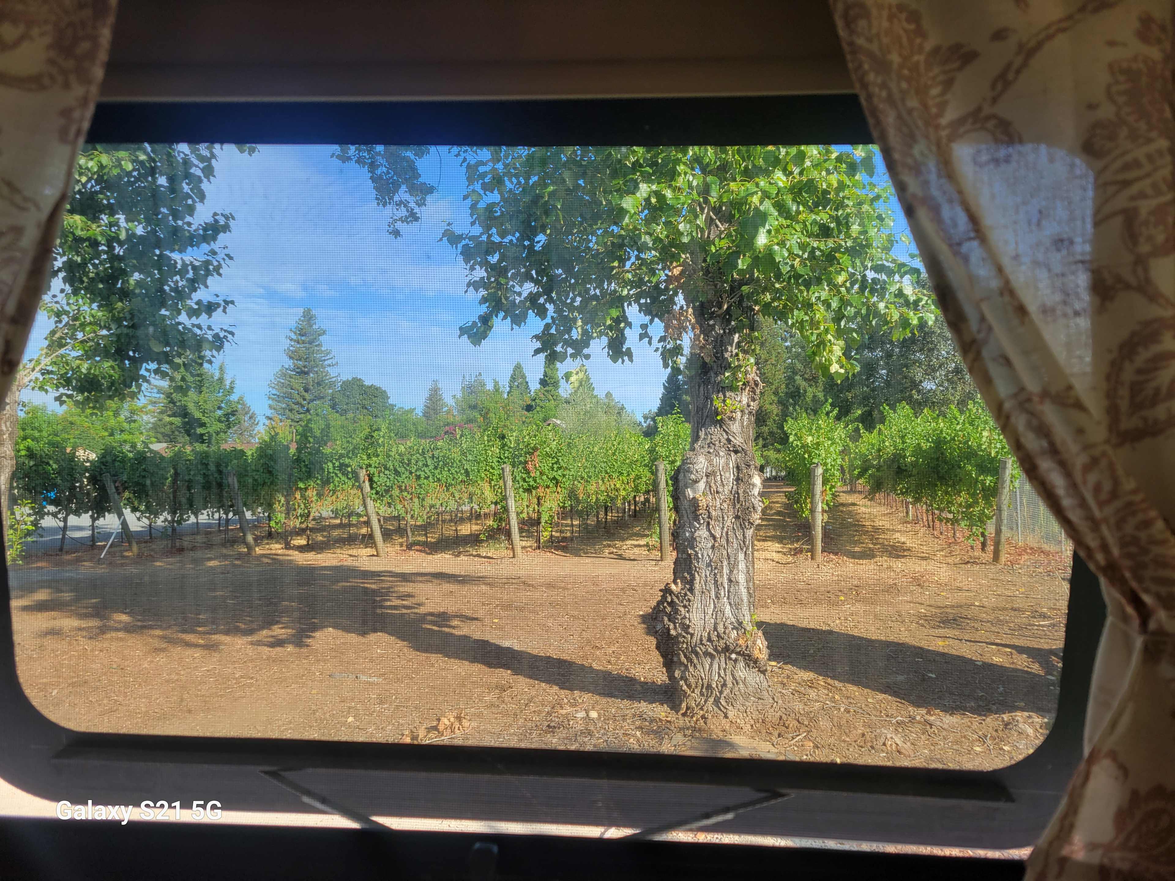 I woke up to this view out my window 
