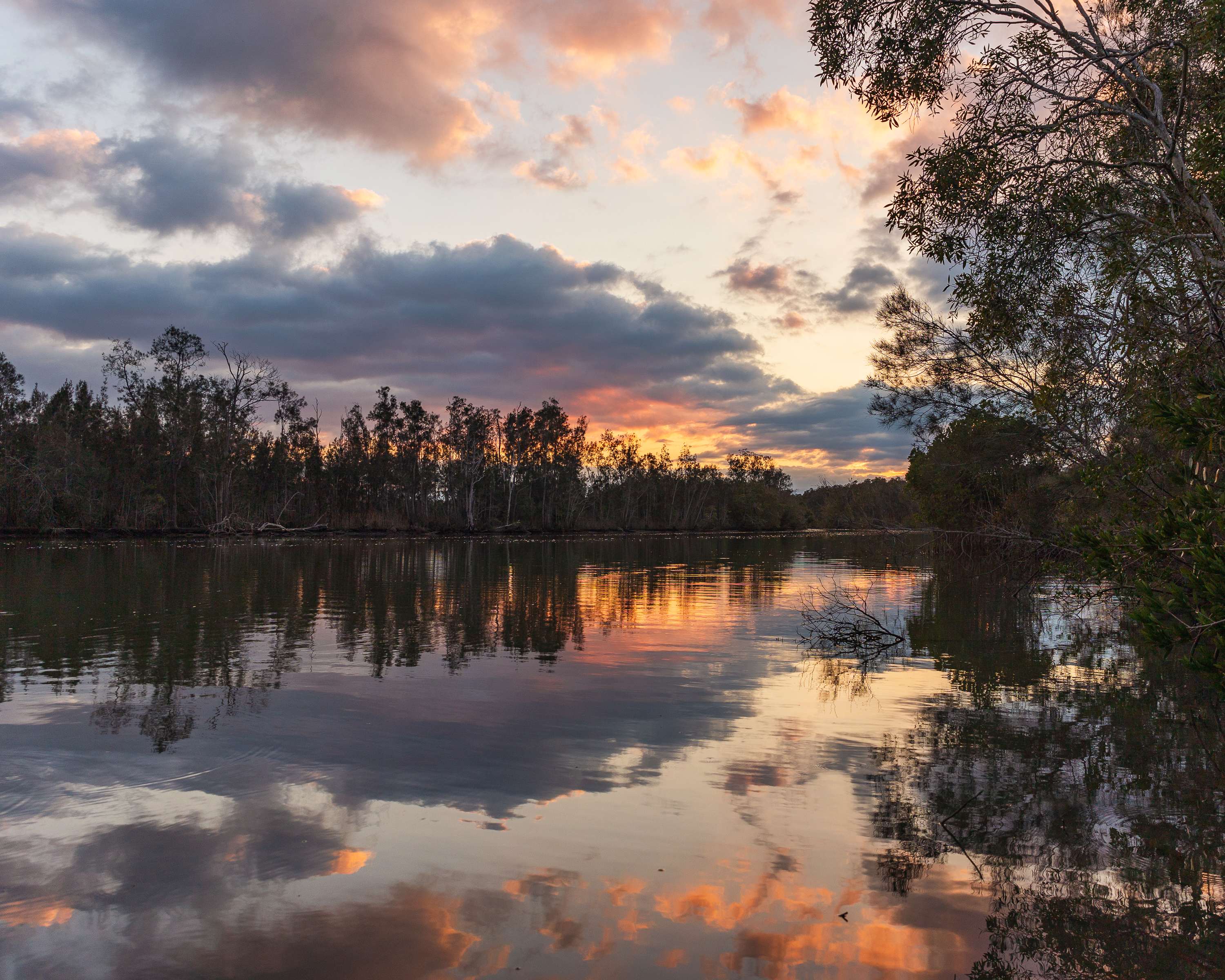 Sunrise on the river's edge