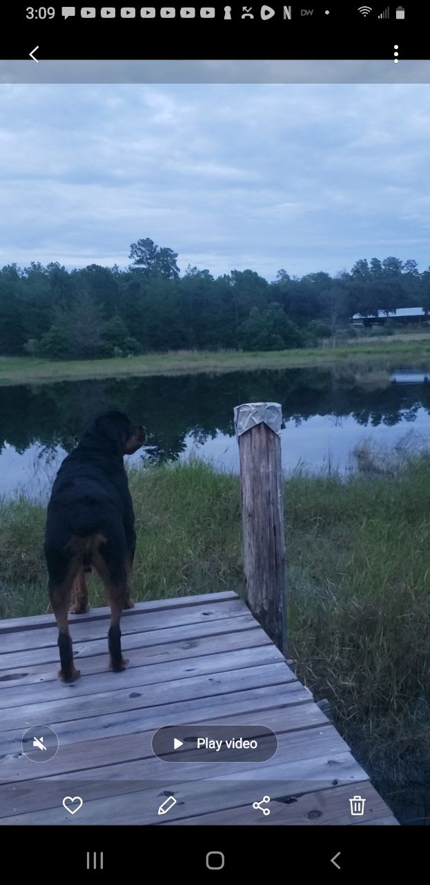 Our lake
