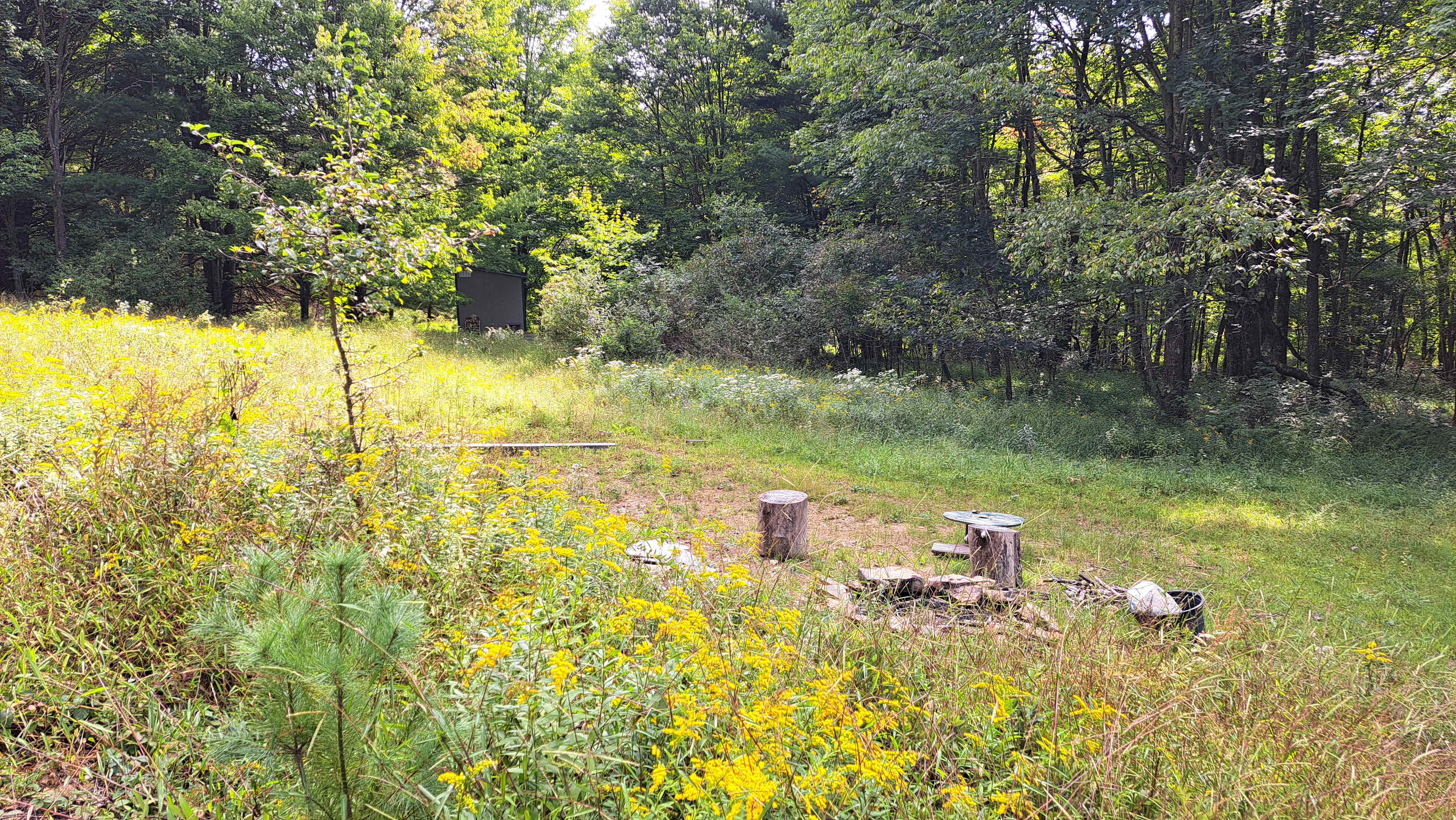 Neal Homestead Camp Sites