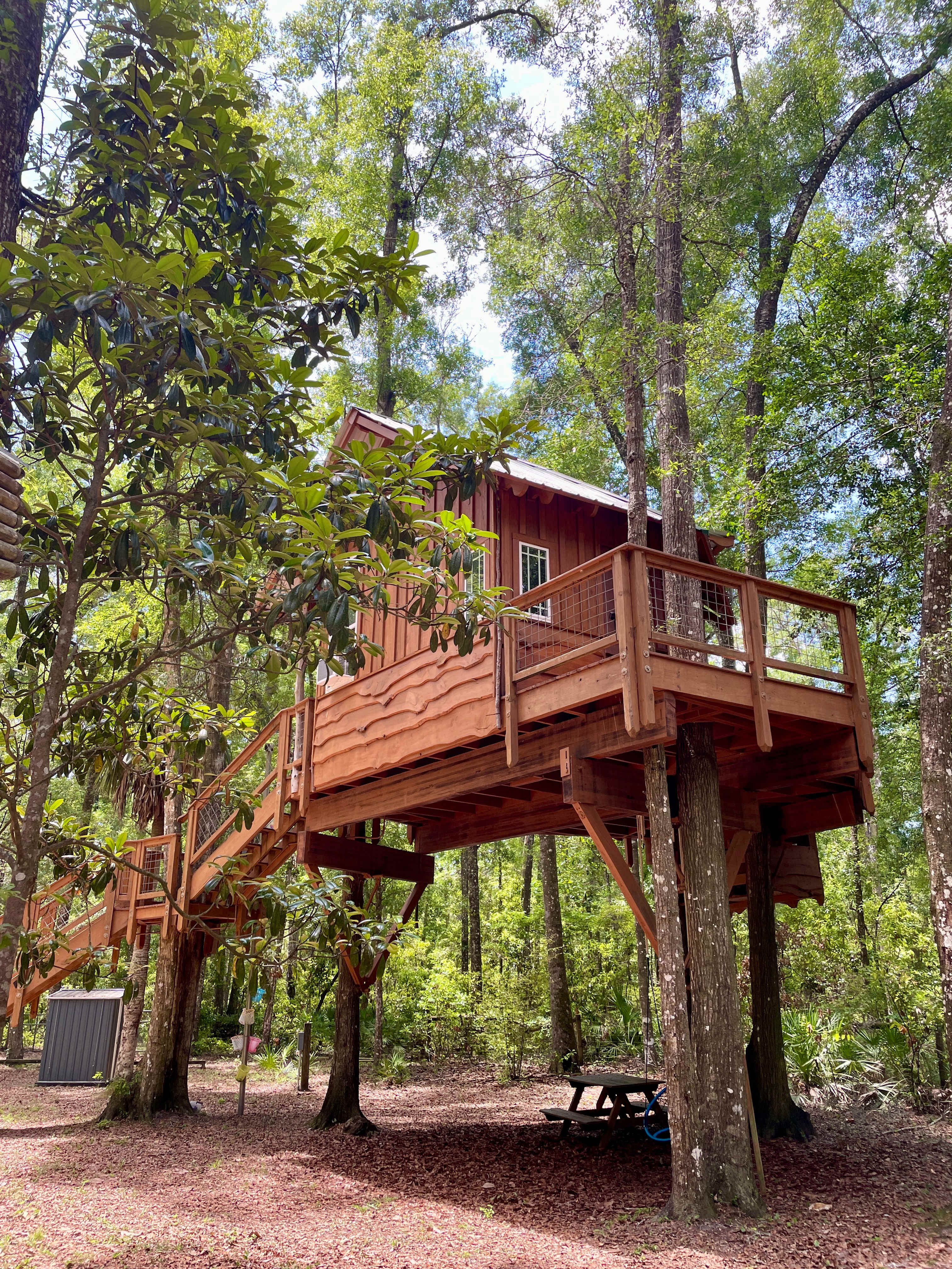 Treehouse Cabin Retreat - Florida