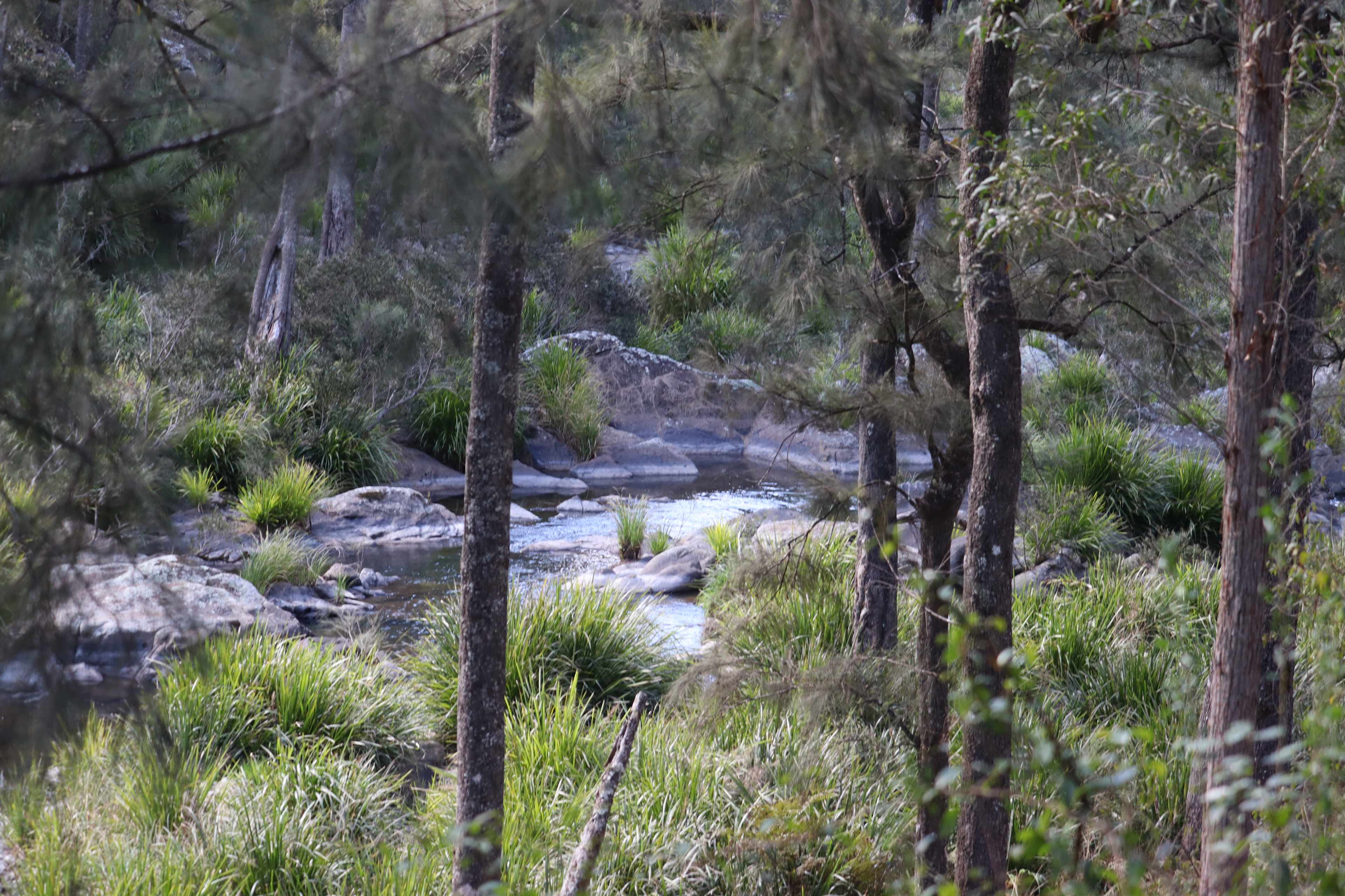Blicks River Camping