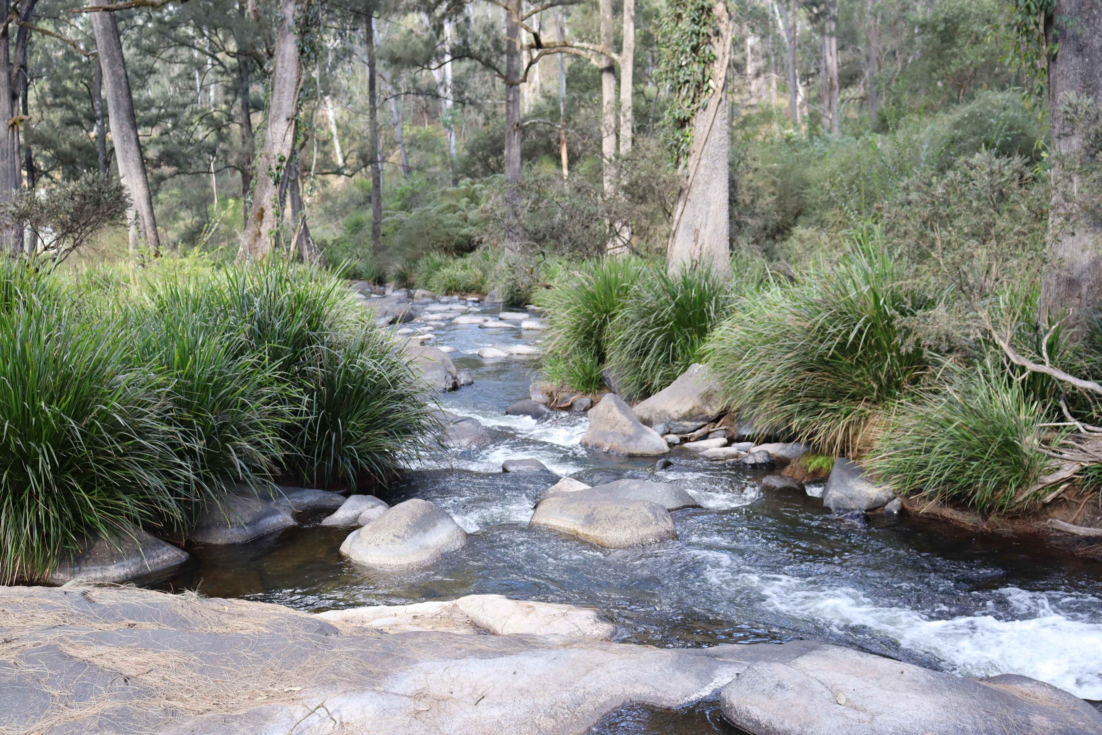 Blicks River Camping