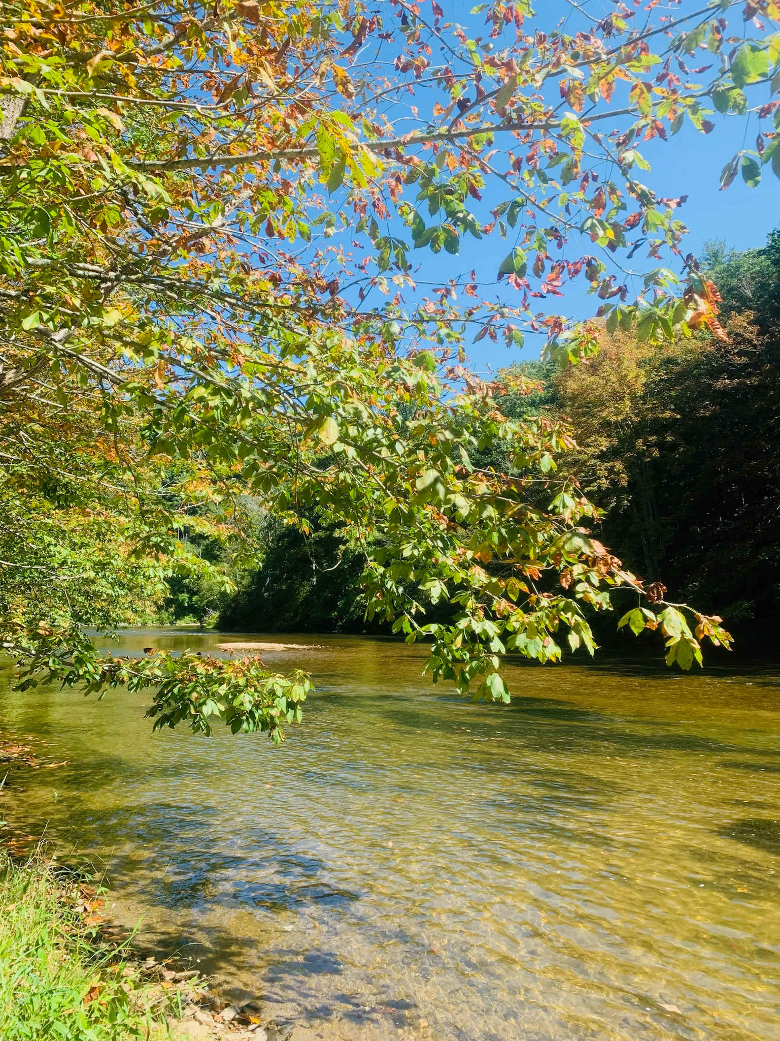 Hidden River Experience
