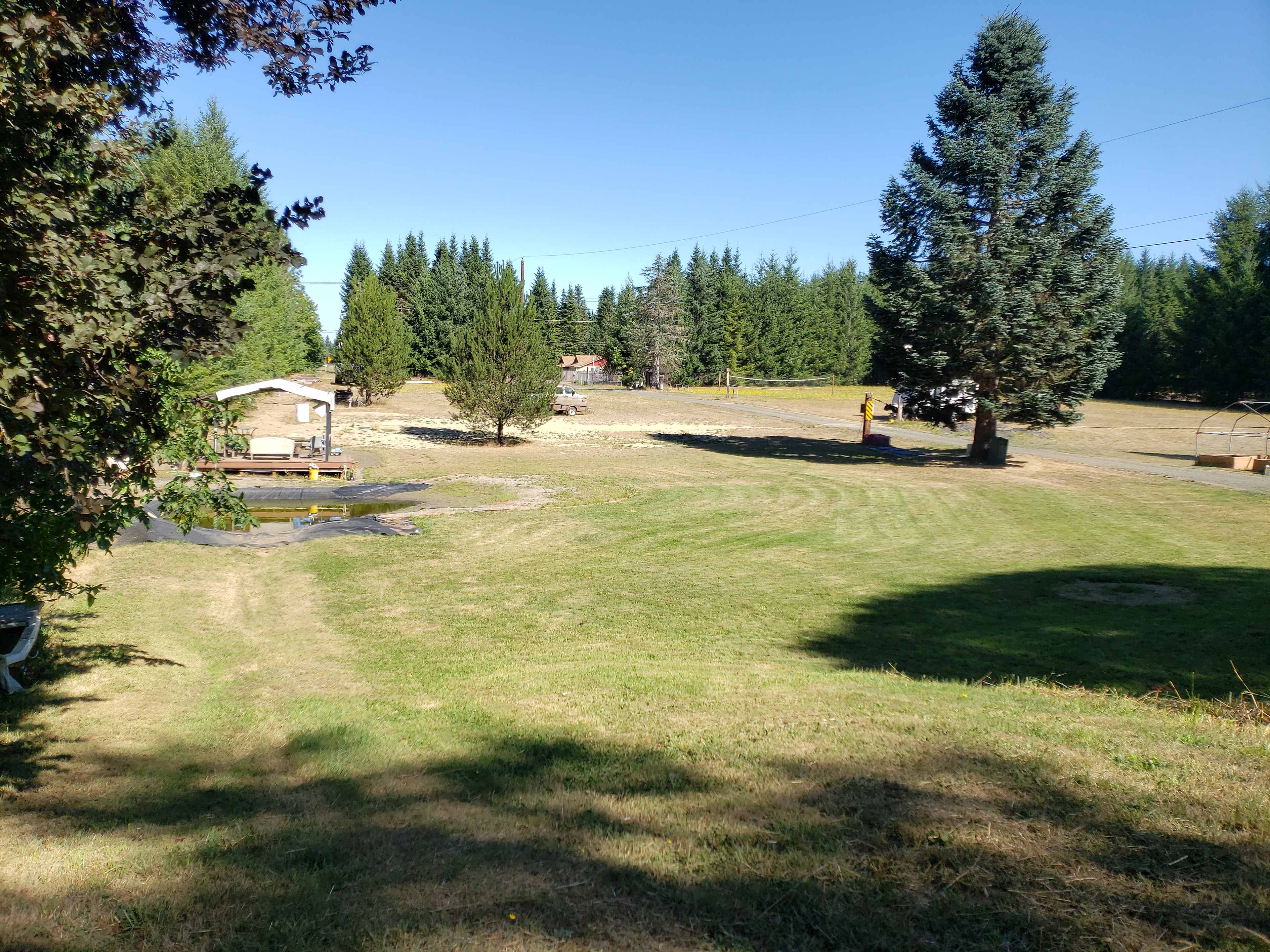 Looking North toward the road.
