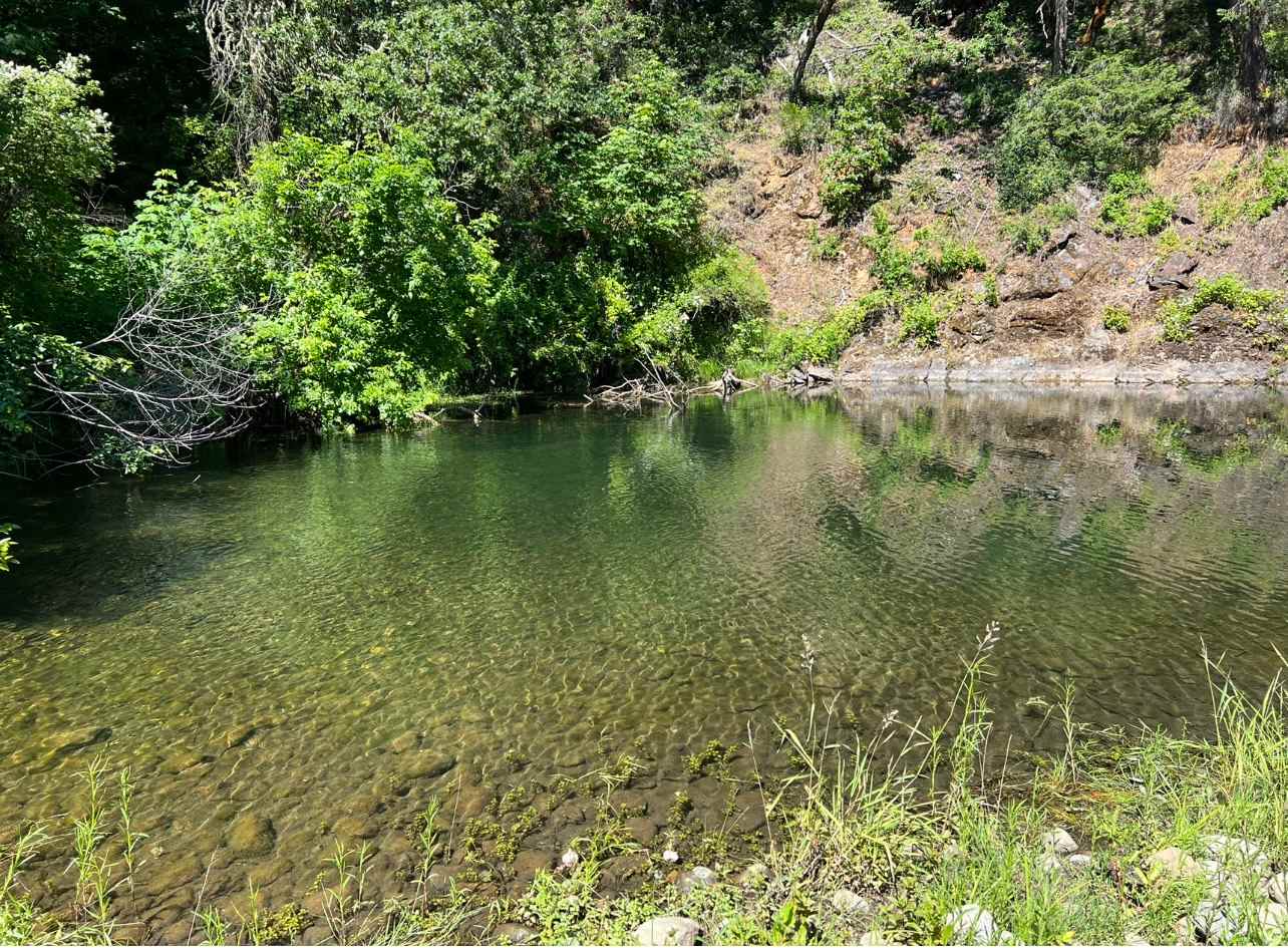 The beautiful swimming hole