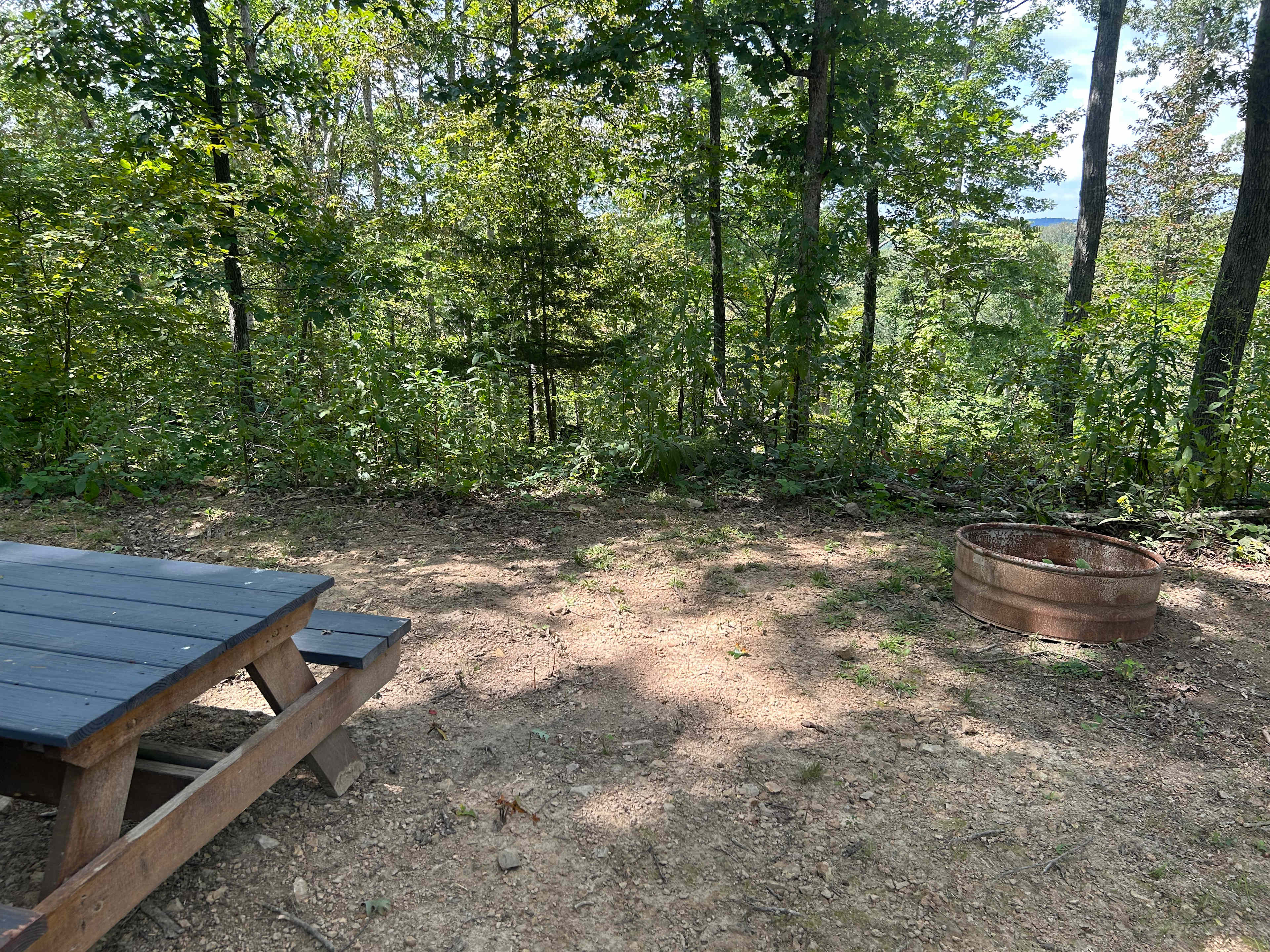 There is a picnic table and a round fire pit available for your use. We also provide firewood for $10 a bundle and can deliver them in advance if we have enough time. This view beyond the trees is overlooking the valley. There is the prettiest night sky awaiting you here with no city lights. The Milky Way is often seen shining brightly here. 