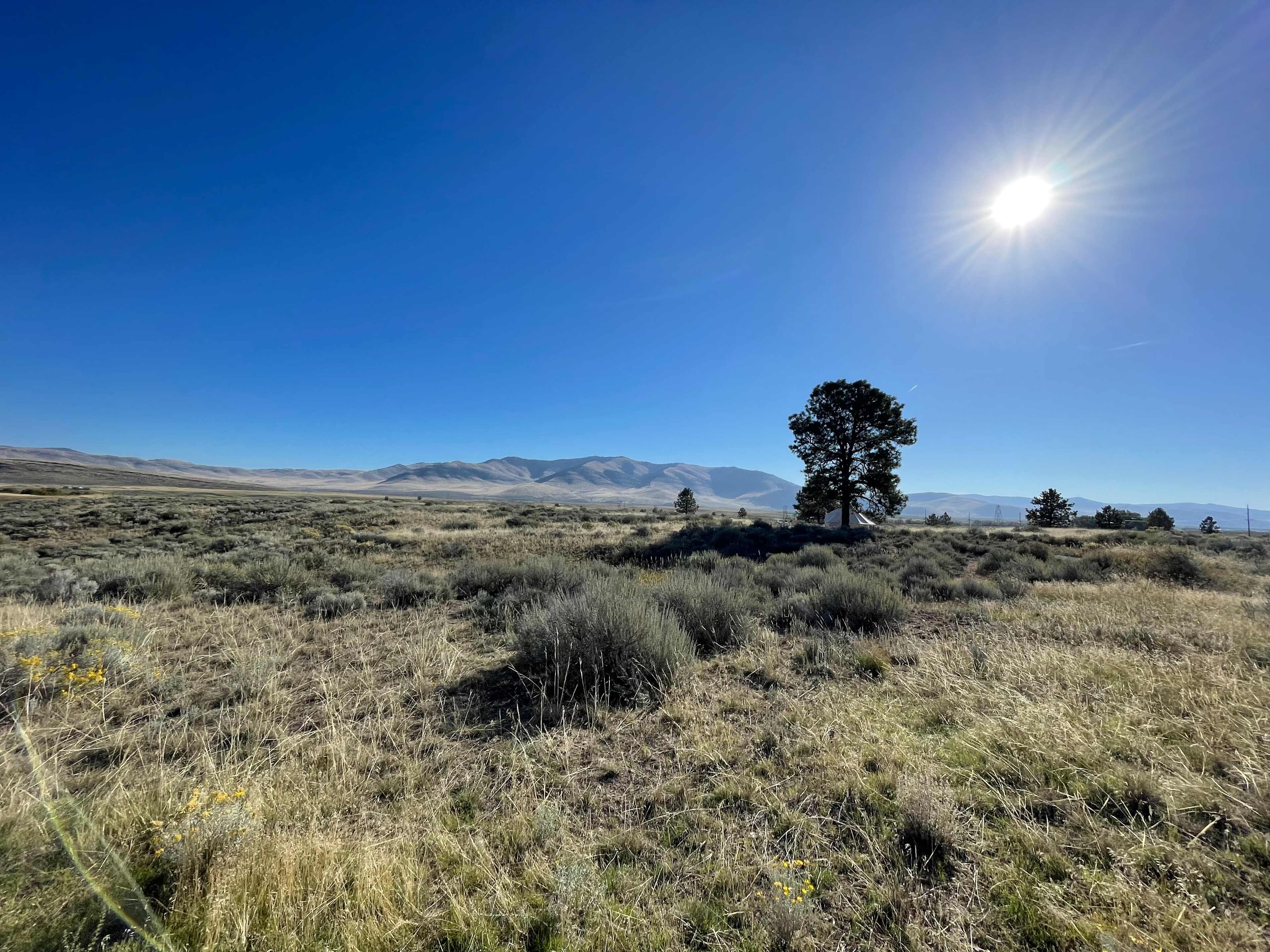 Sage Oasis Garden Retreat