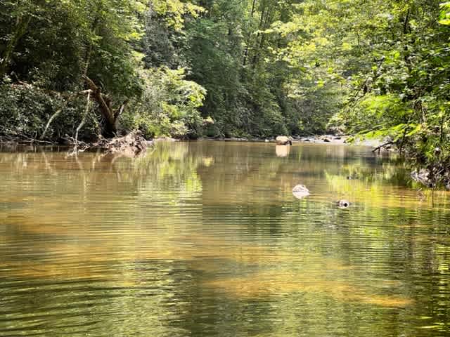 The River