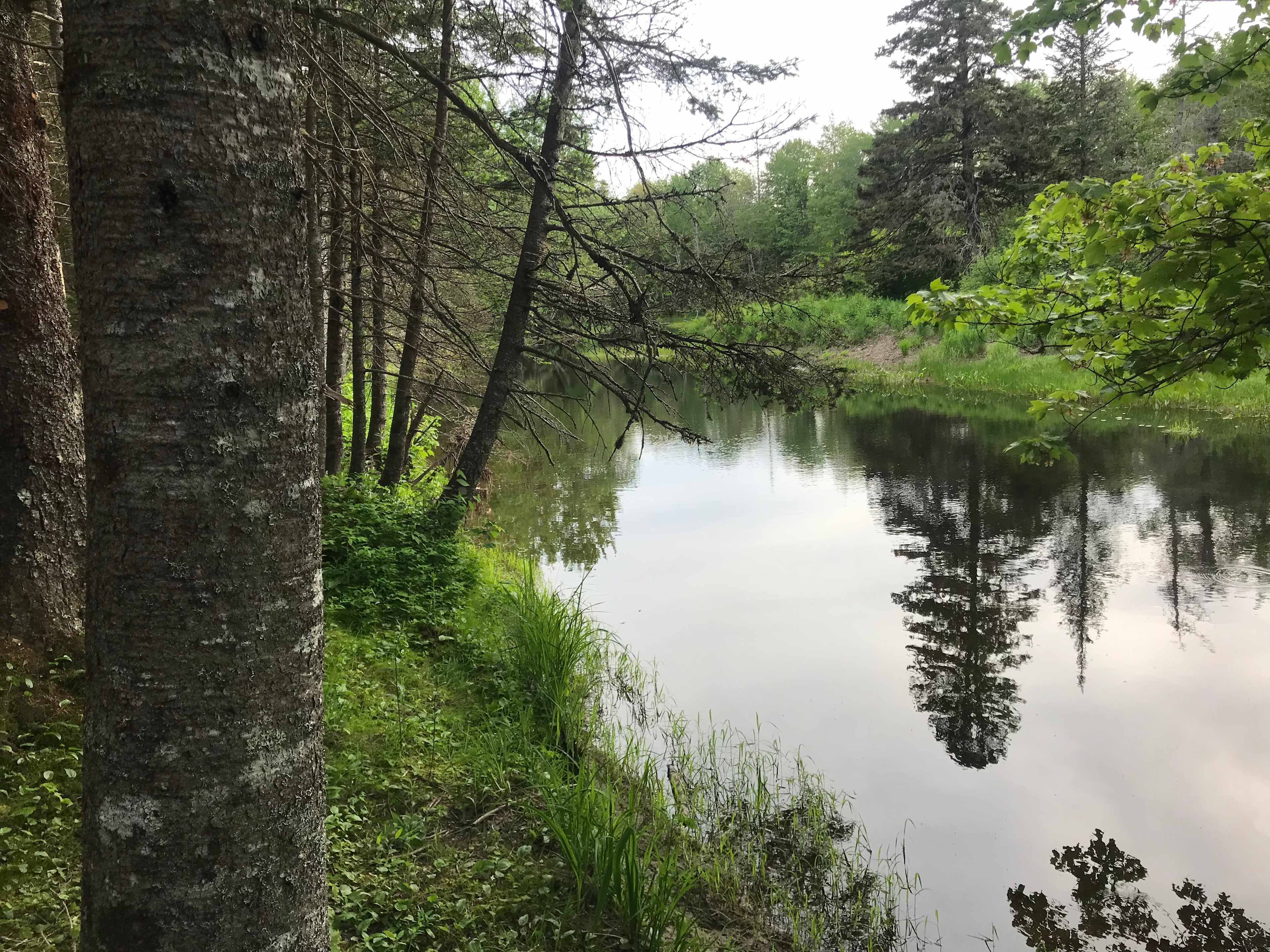 The view down the river from the community area
