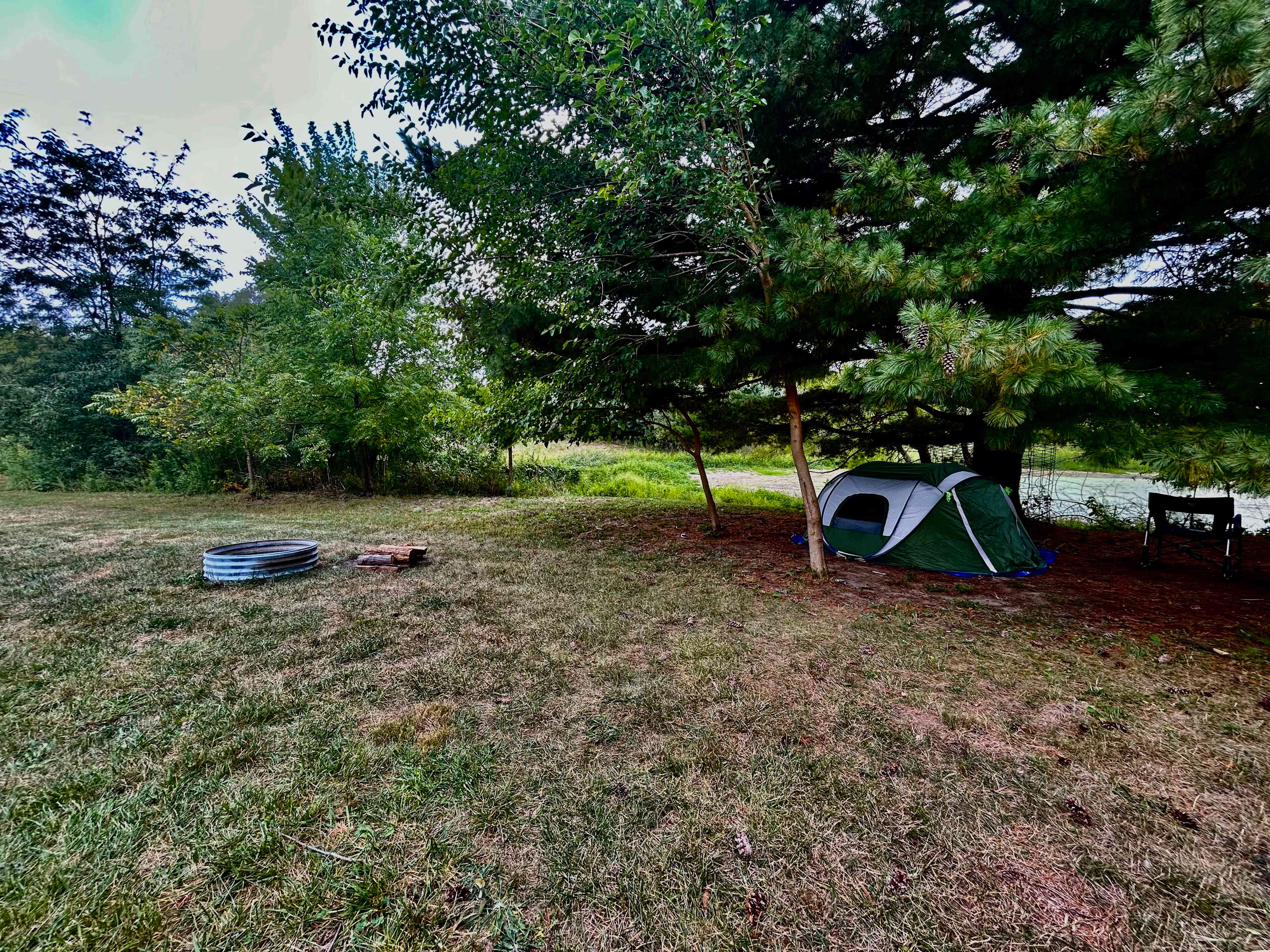 Picture of the site
