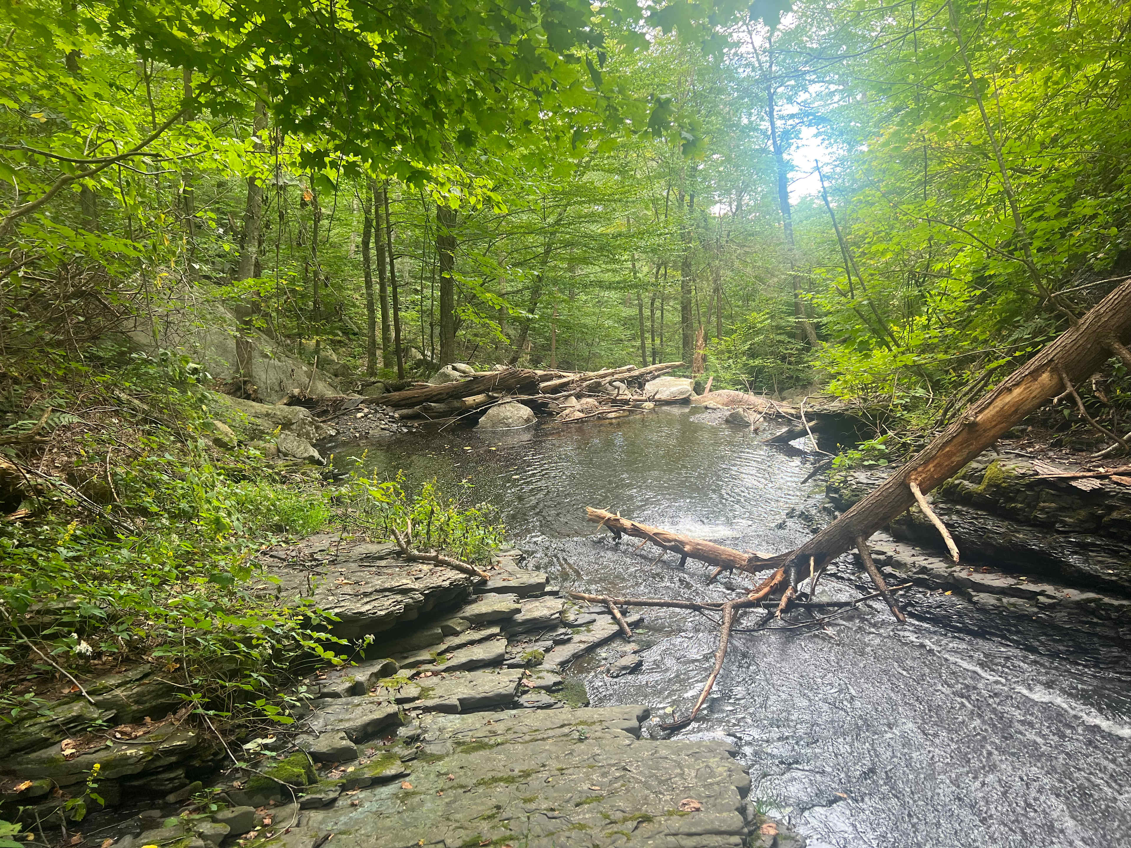 The little swimming hole 🕳️ I did not notice last time ~ how did I miss this ⁉️