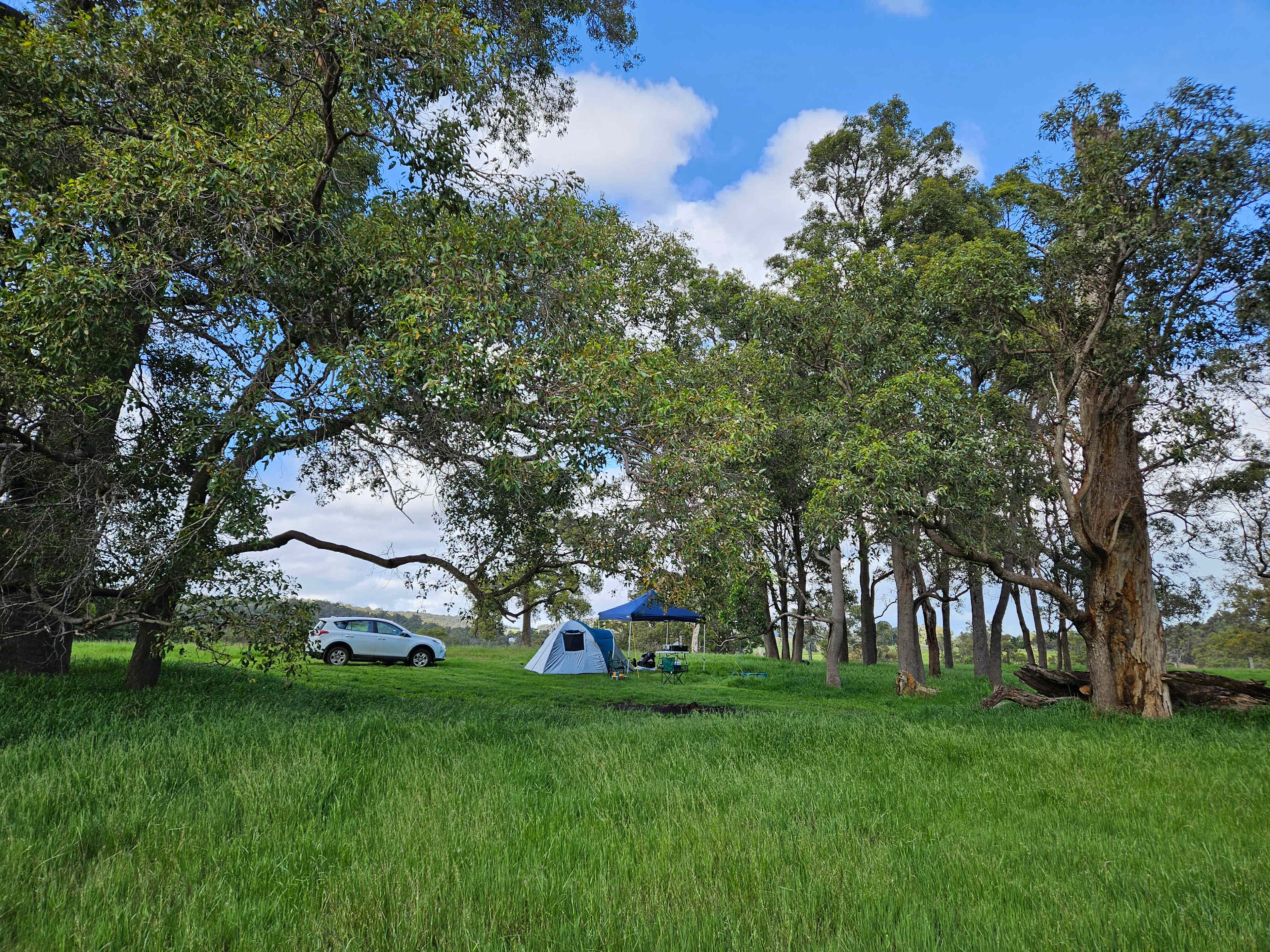Picture of the site