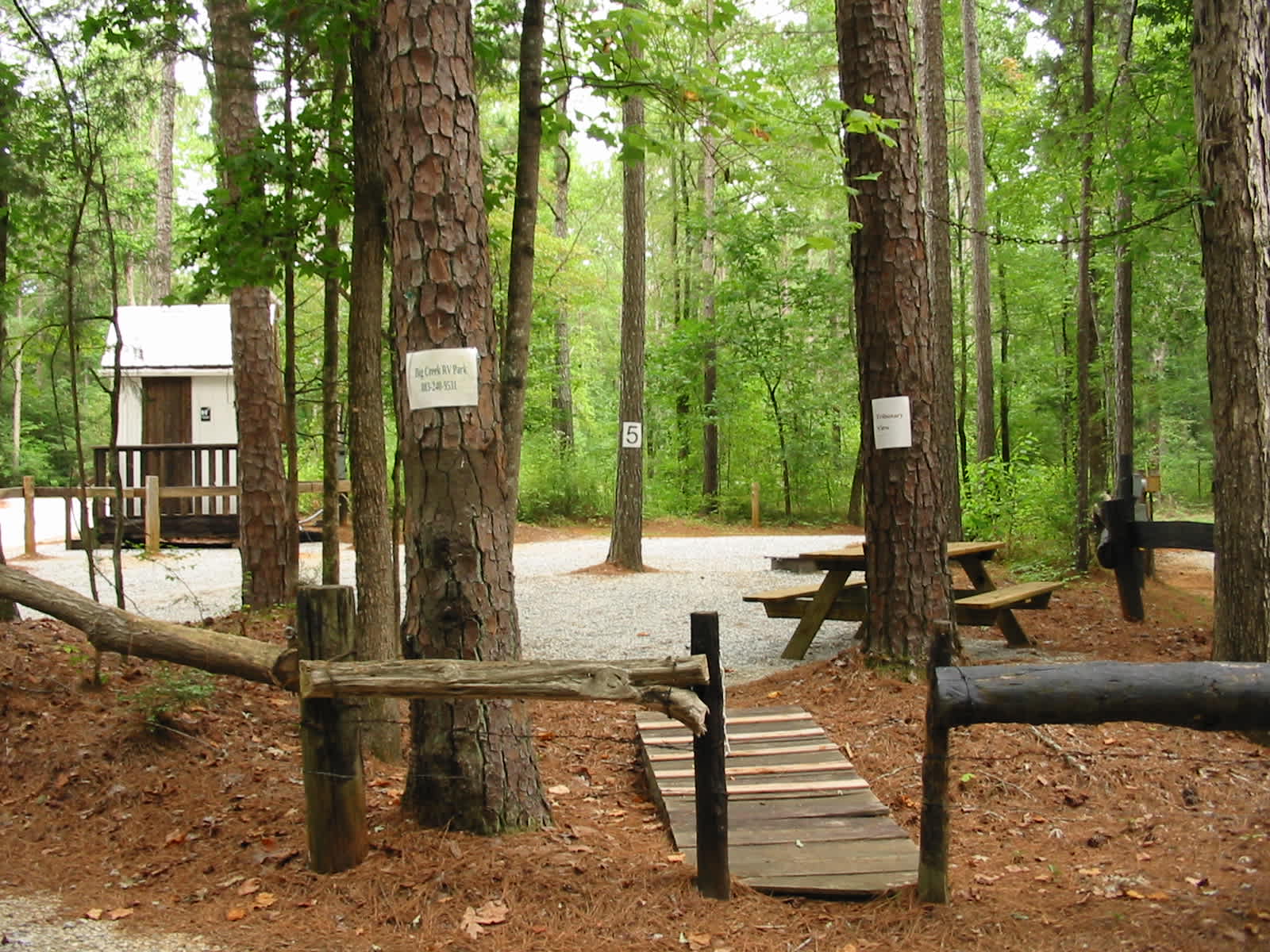 Picture of the site