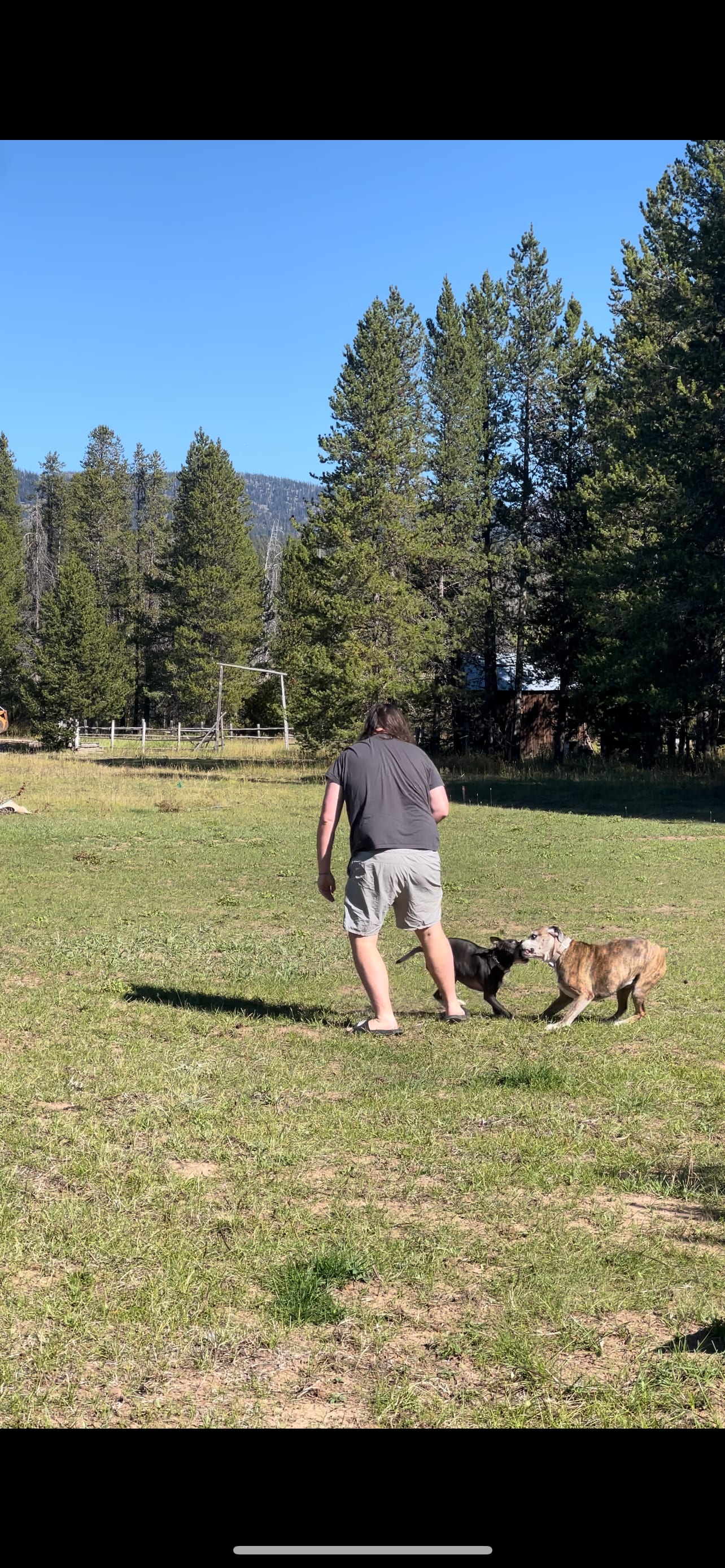 Angell Creek Campground