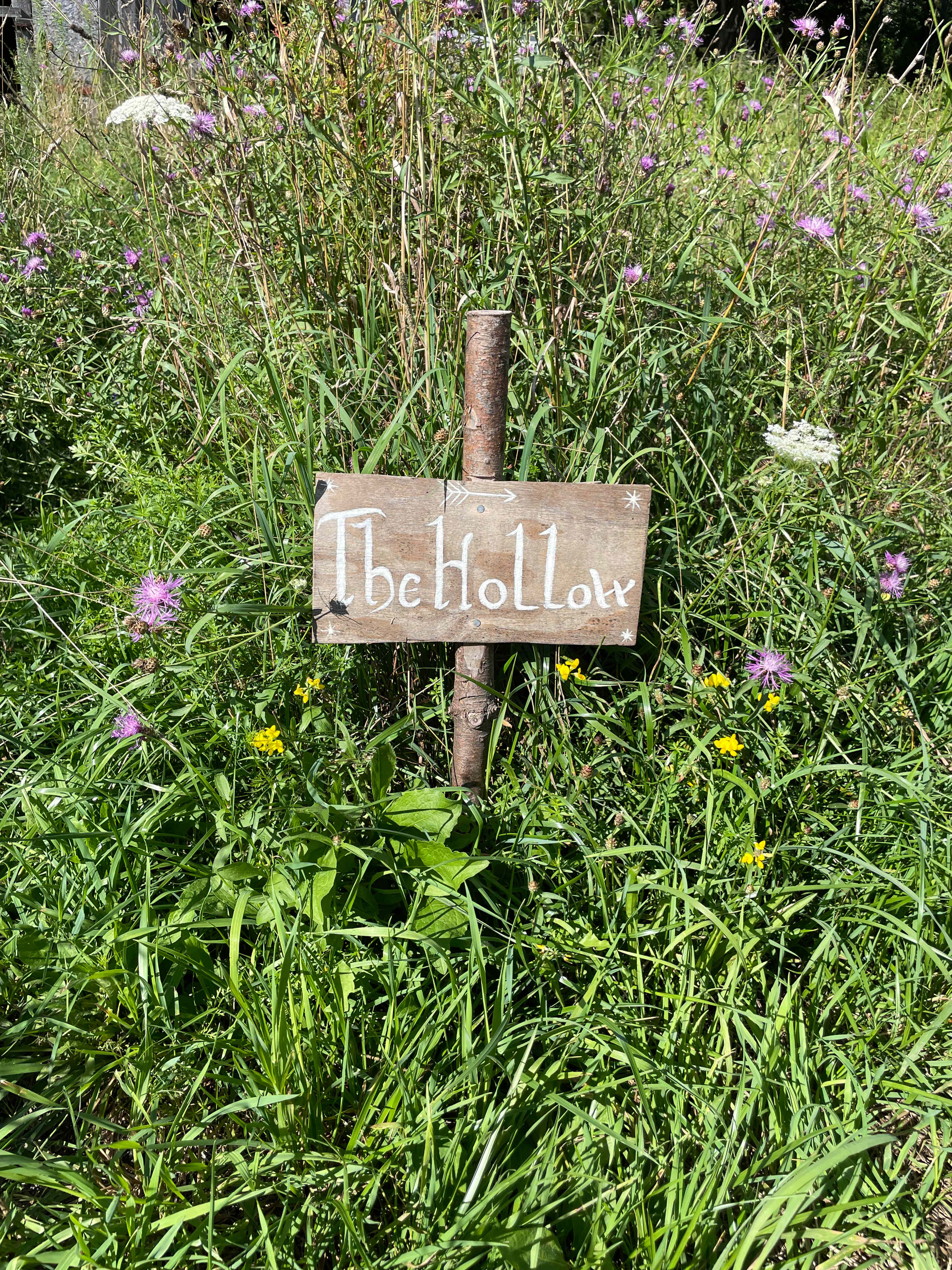 Hickory Hollow