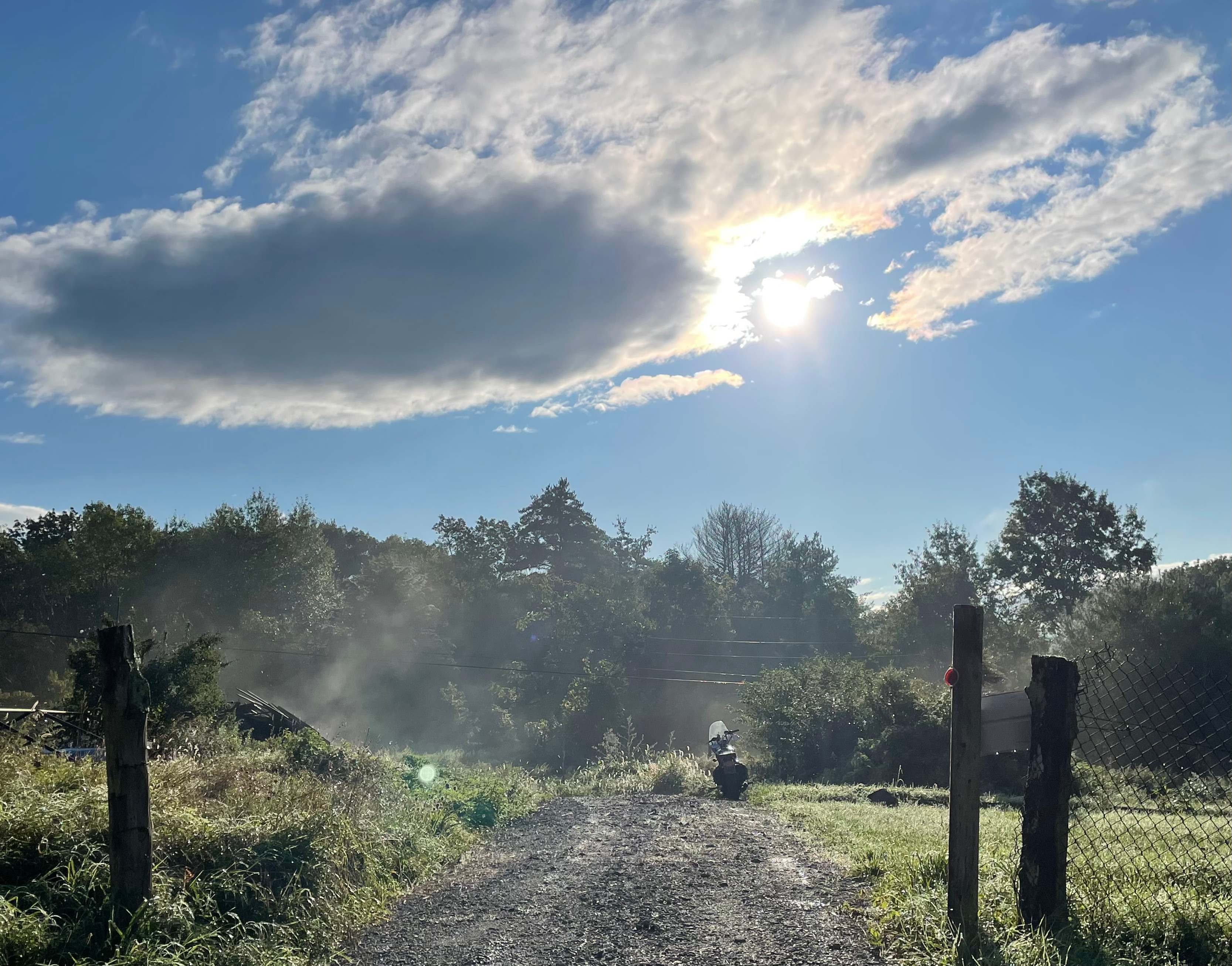 Hickory Hollow