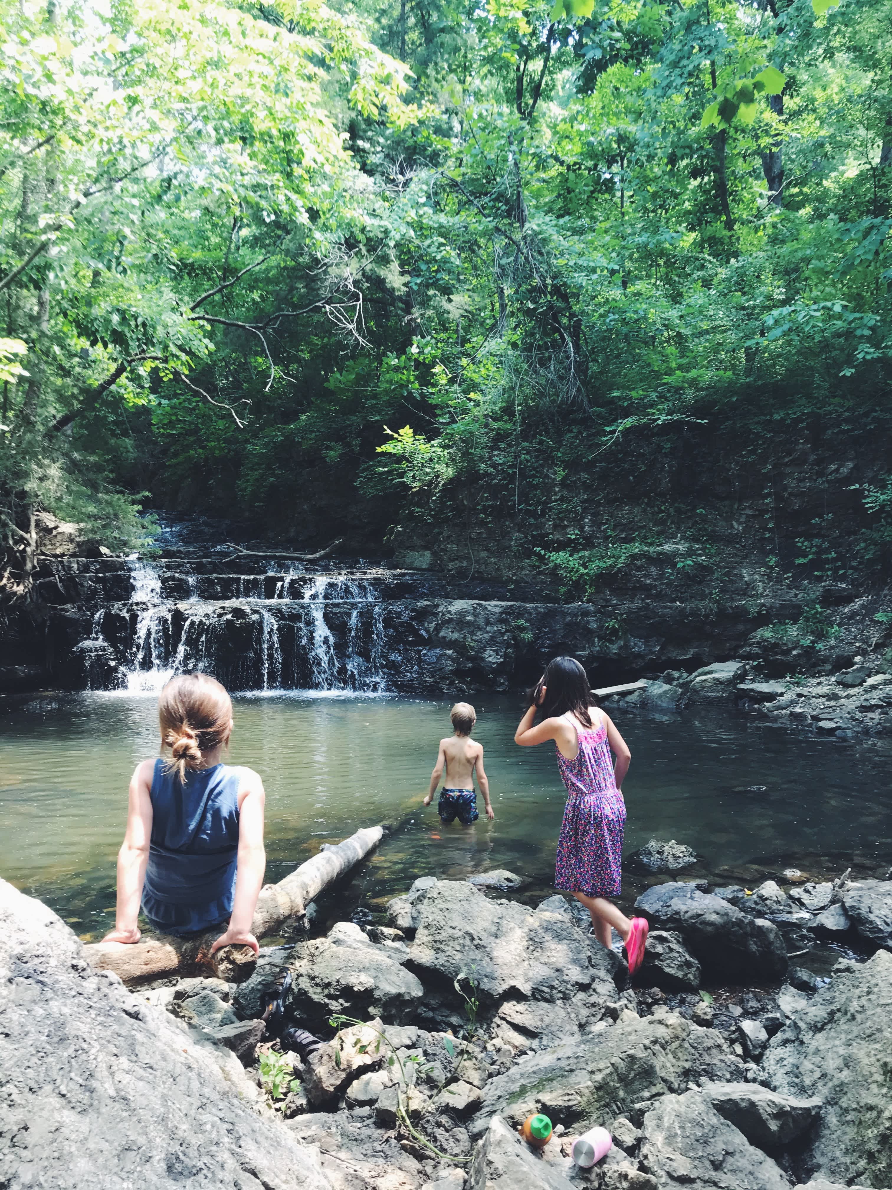 Wildflower Camp, Hike + Swim