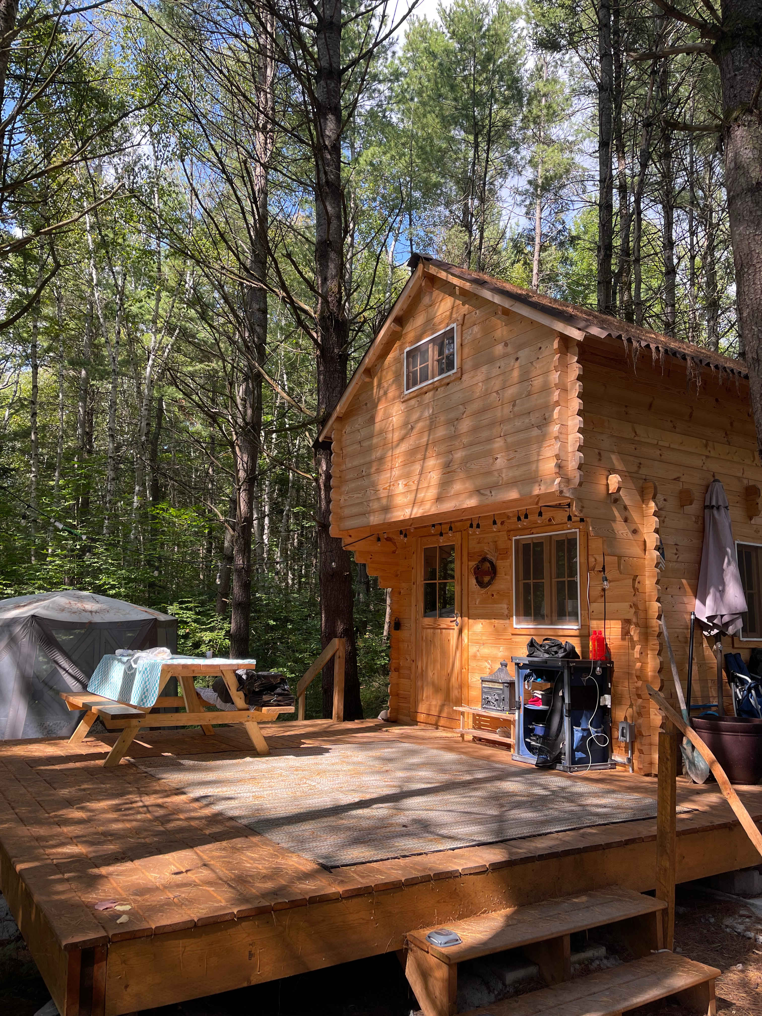 Cozy Cabin in the Woods