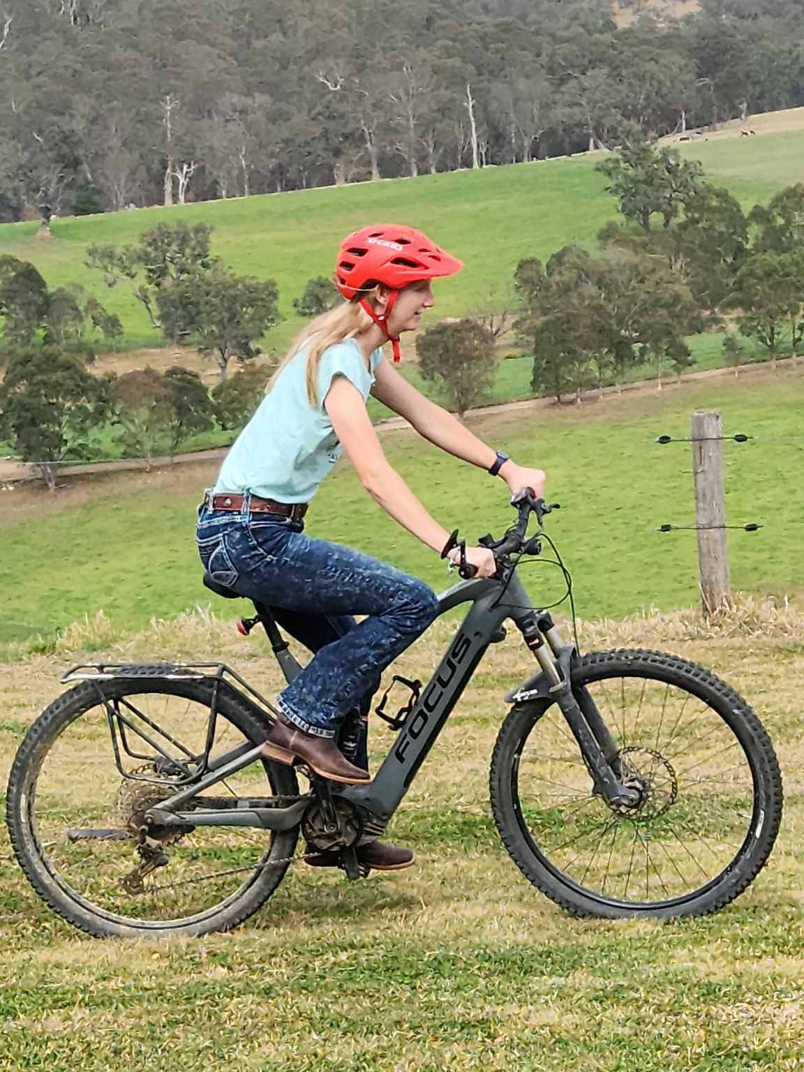 Sapphire Coast Dairy-Homestead