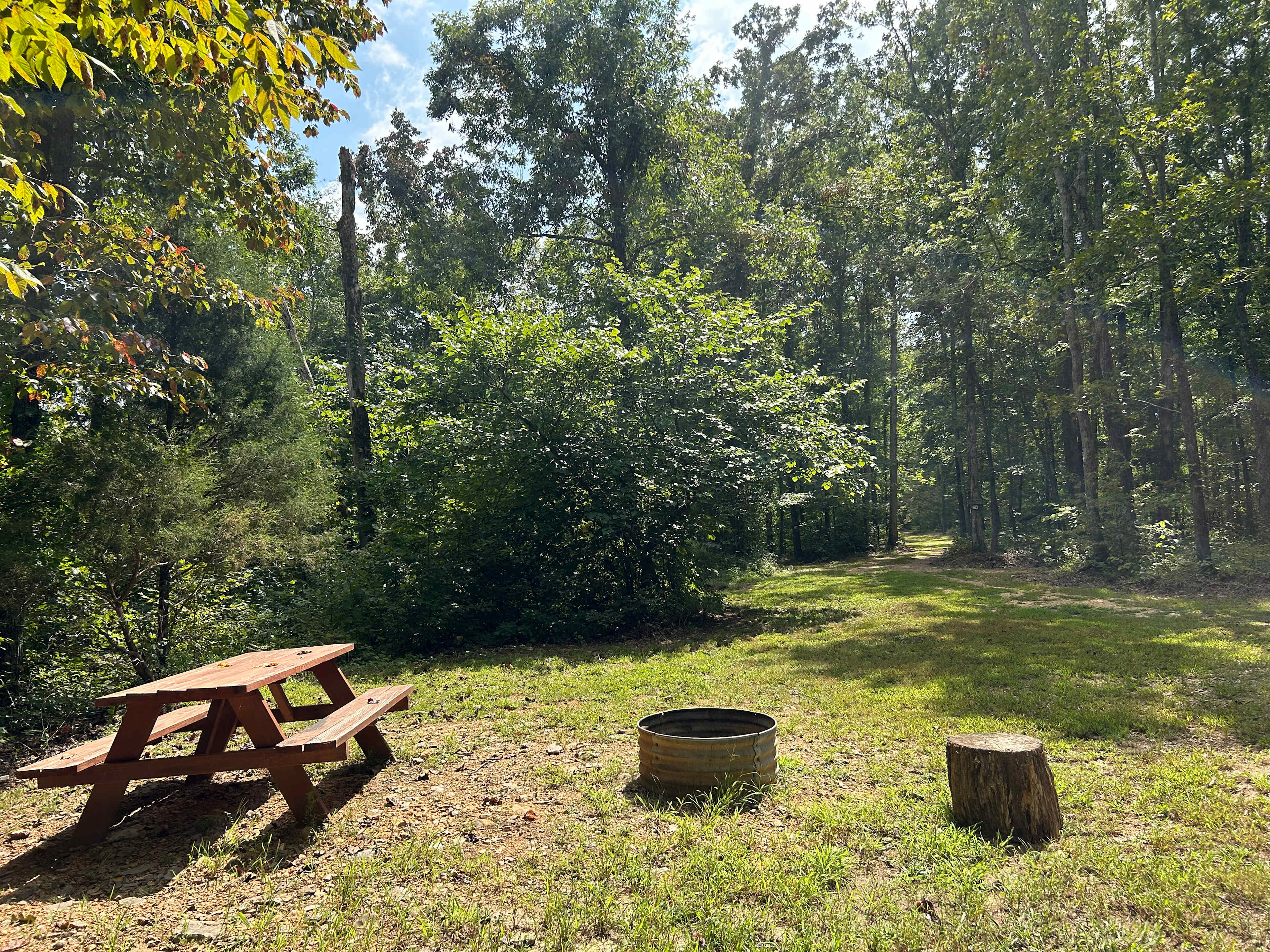 Here is the campsite with a picnic table, fire pit, and wooden stump. The area is grassy and has a level area for a tent. There is room for two vehicles at this campsite or great for someone pulling a small trailer. 