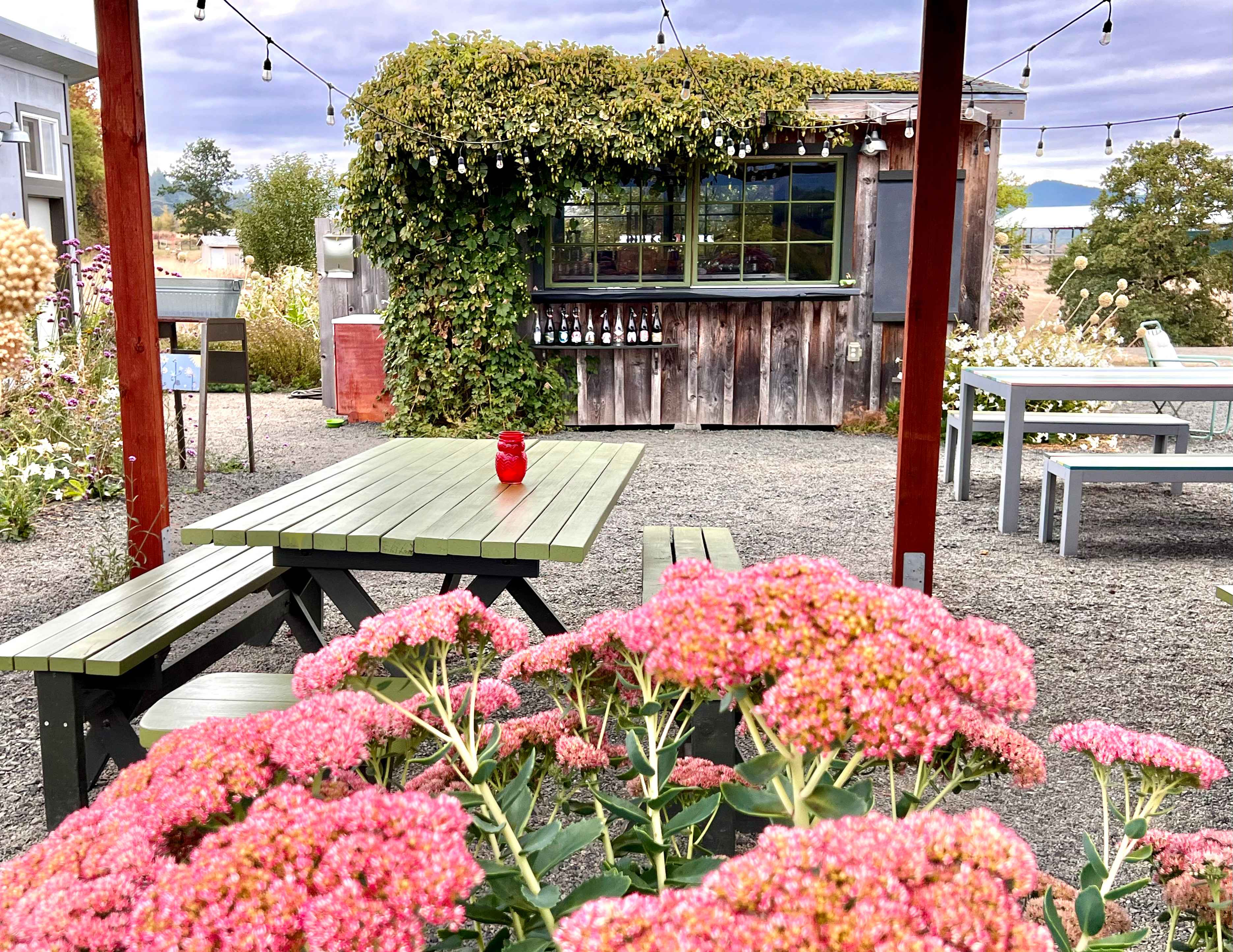 Wine tasting area