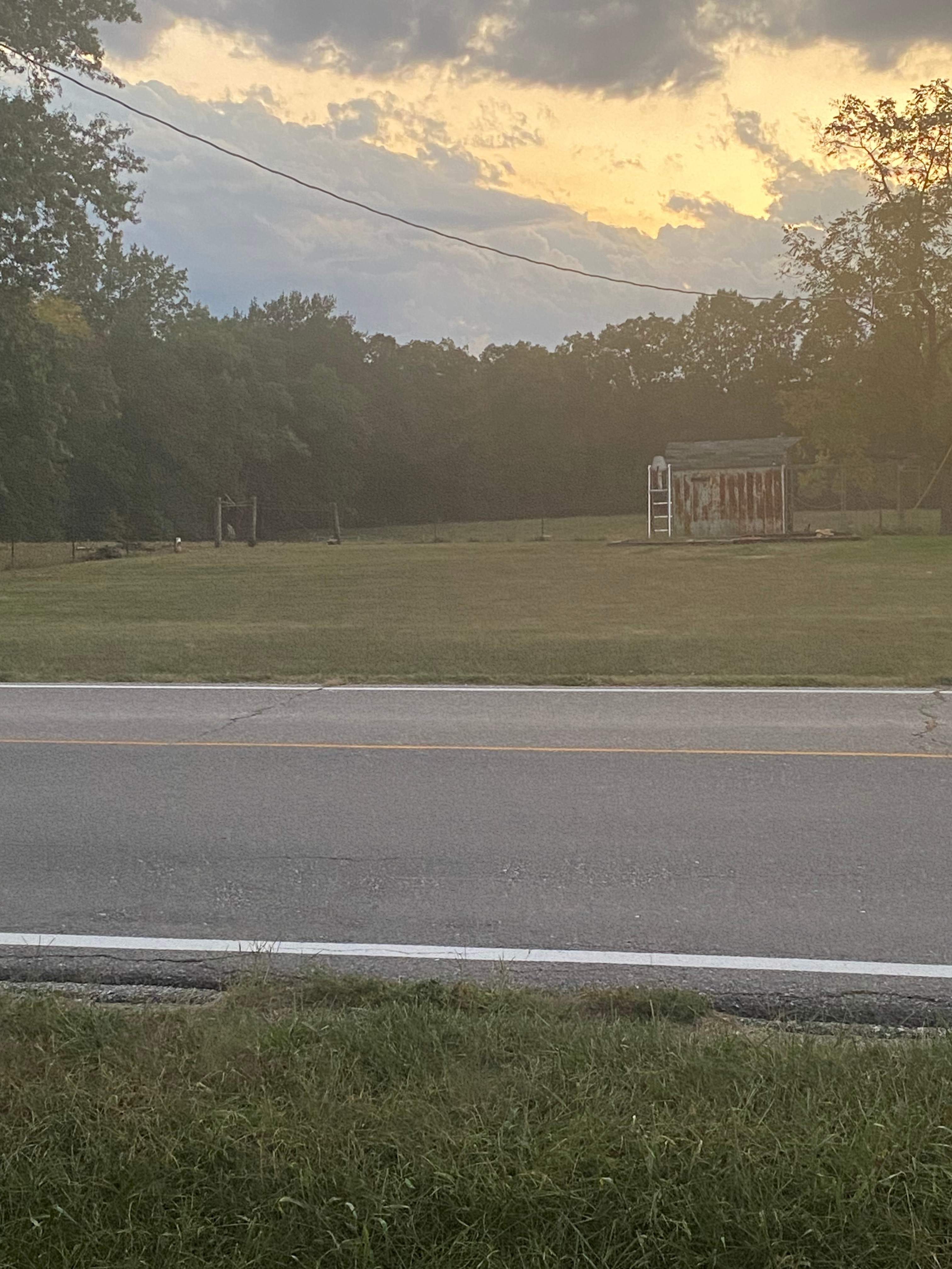 Turtle Hill