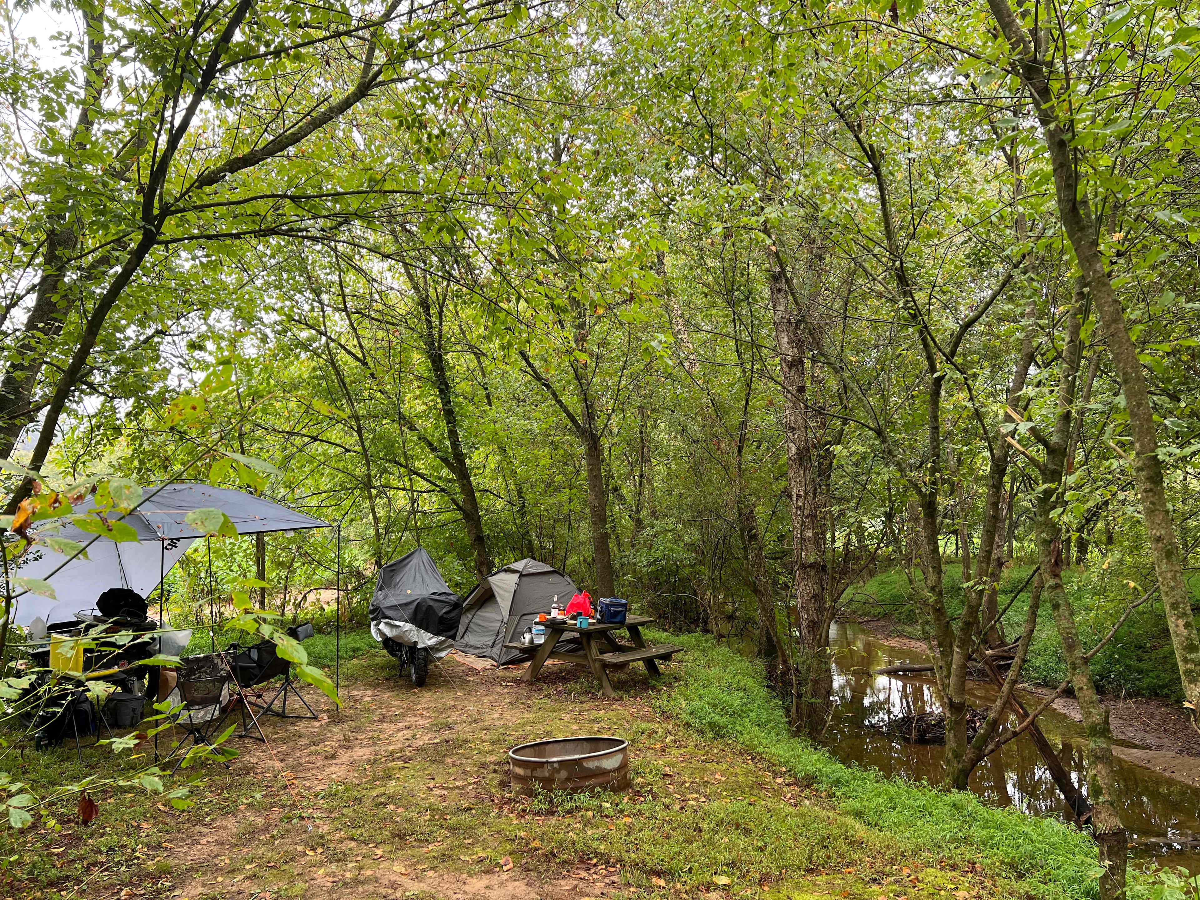 The Oasis at Harmon Creek Farms