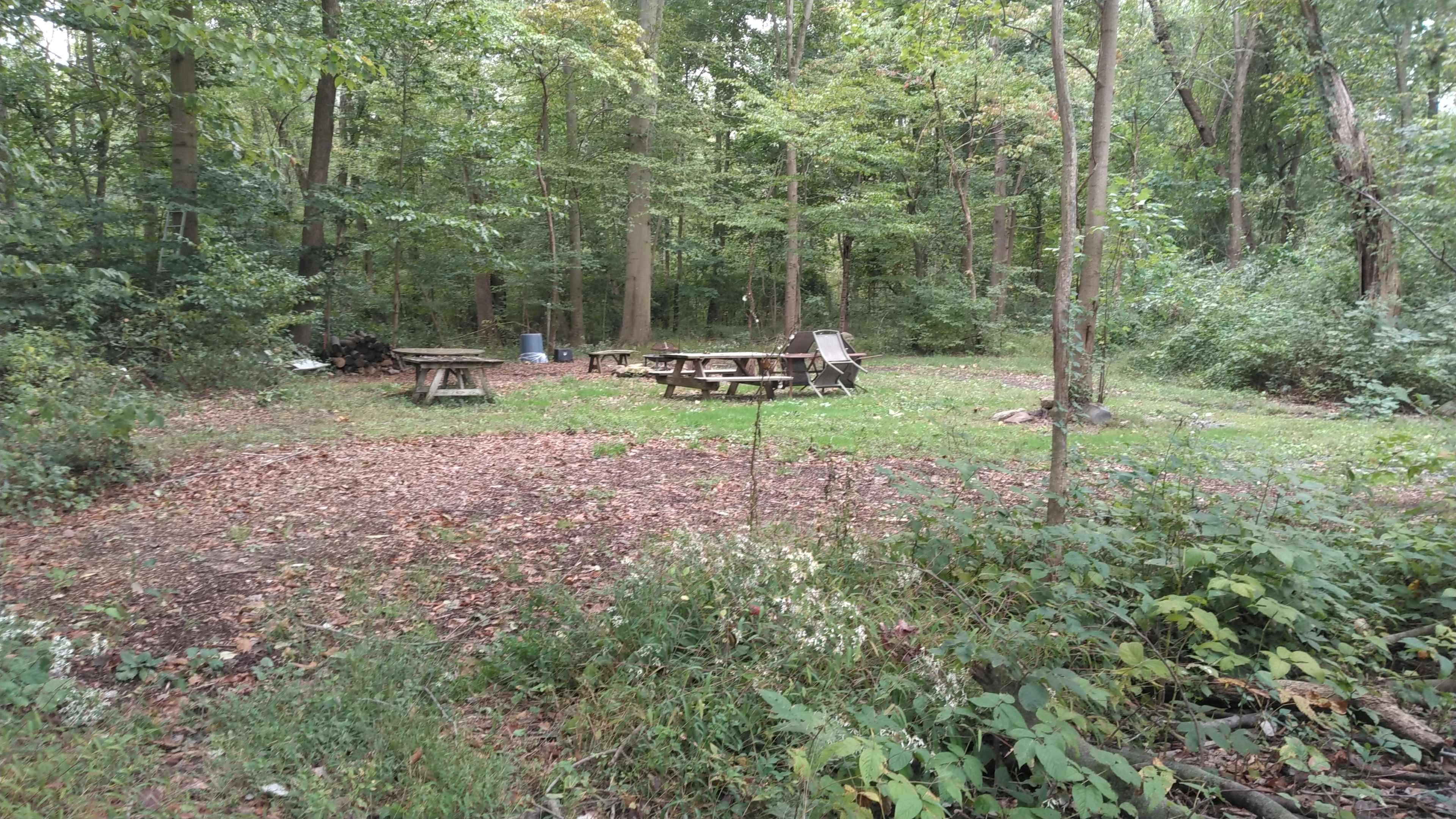 Farmstead Artisan goat Dairy