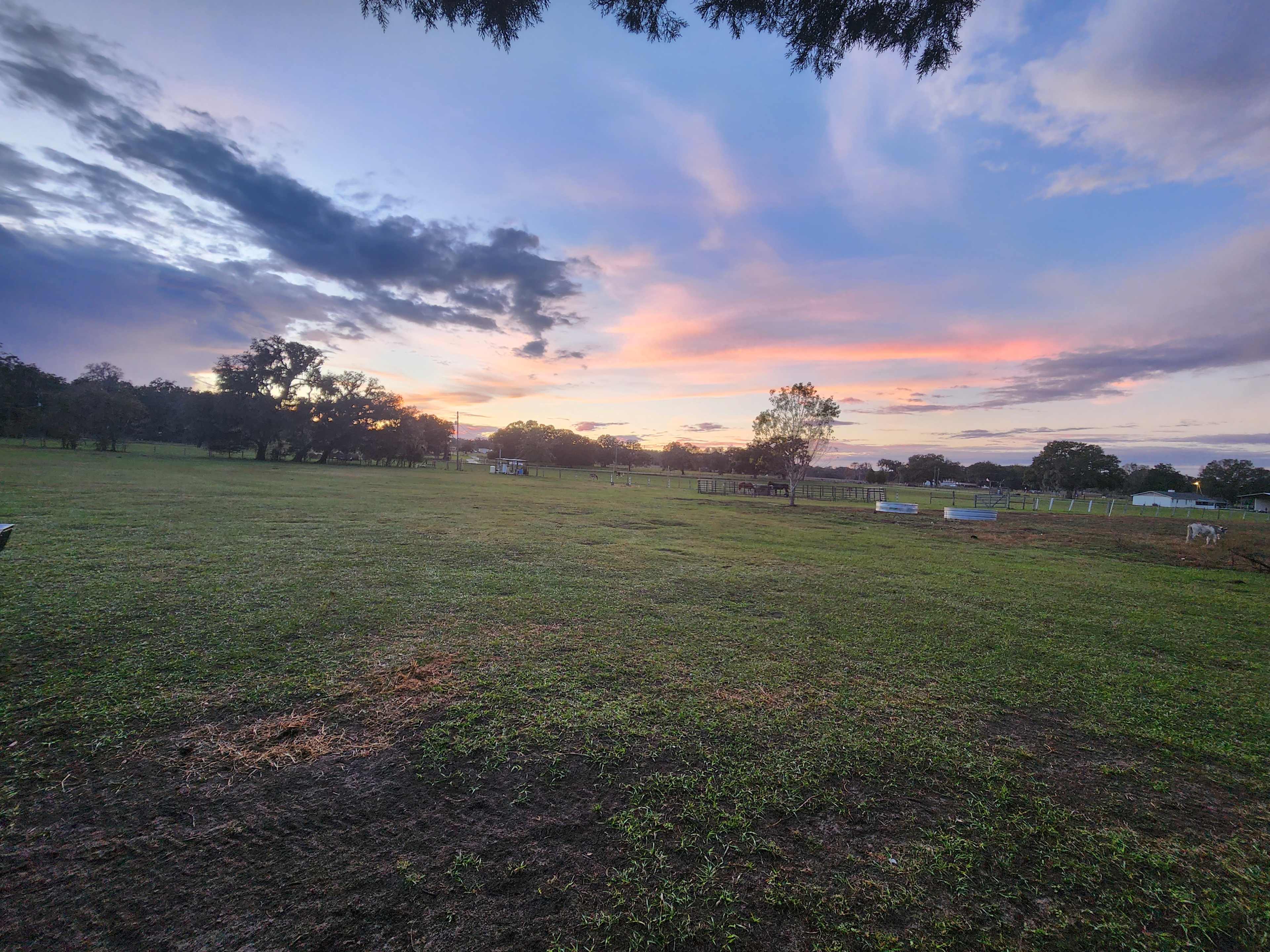 Florida Farm School & Animal Rescue