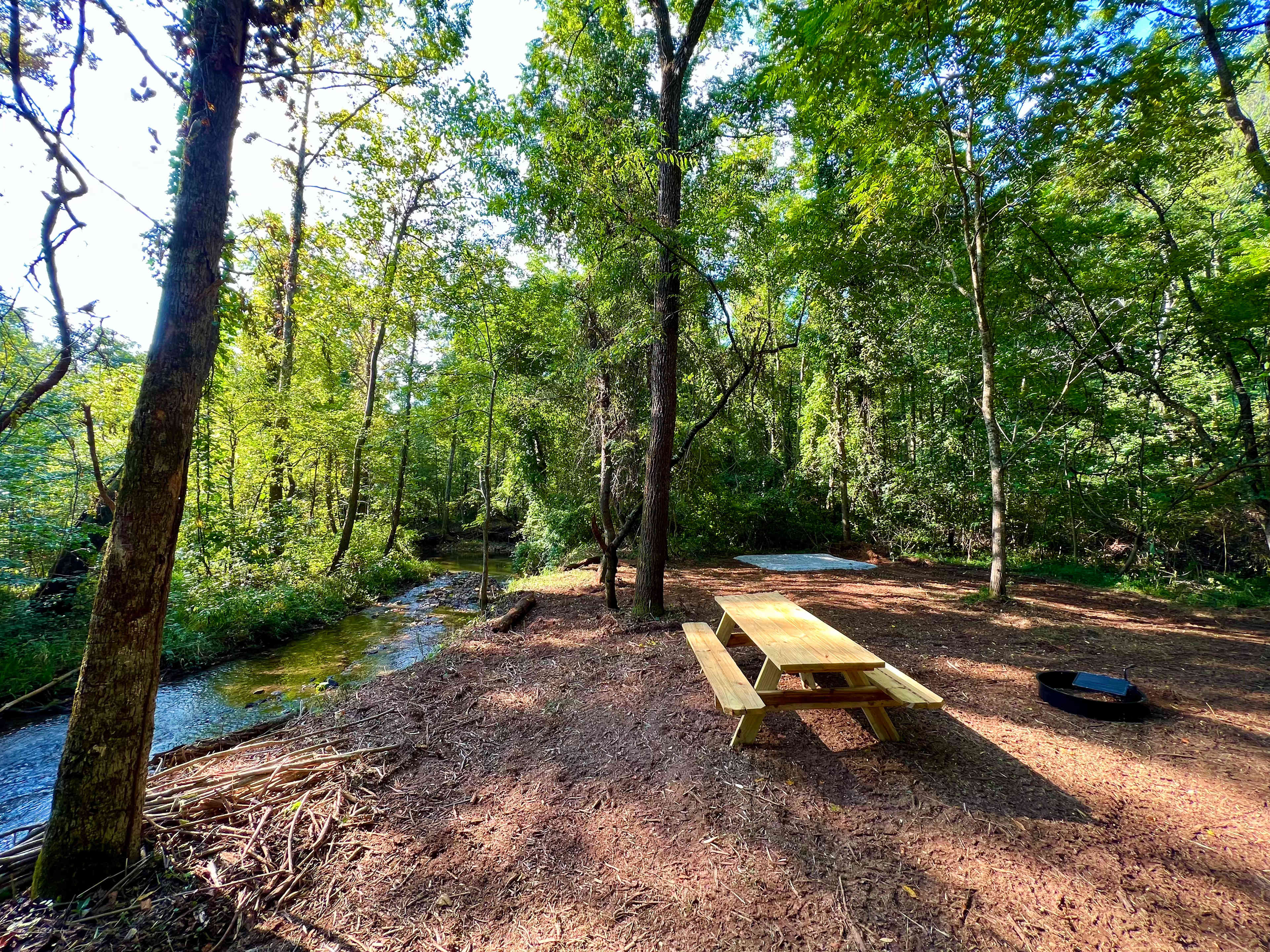 TangleWood Creekside Campsites