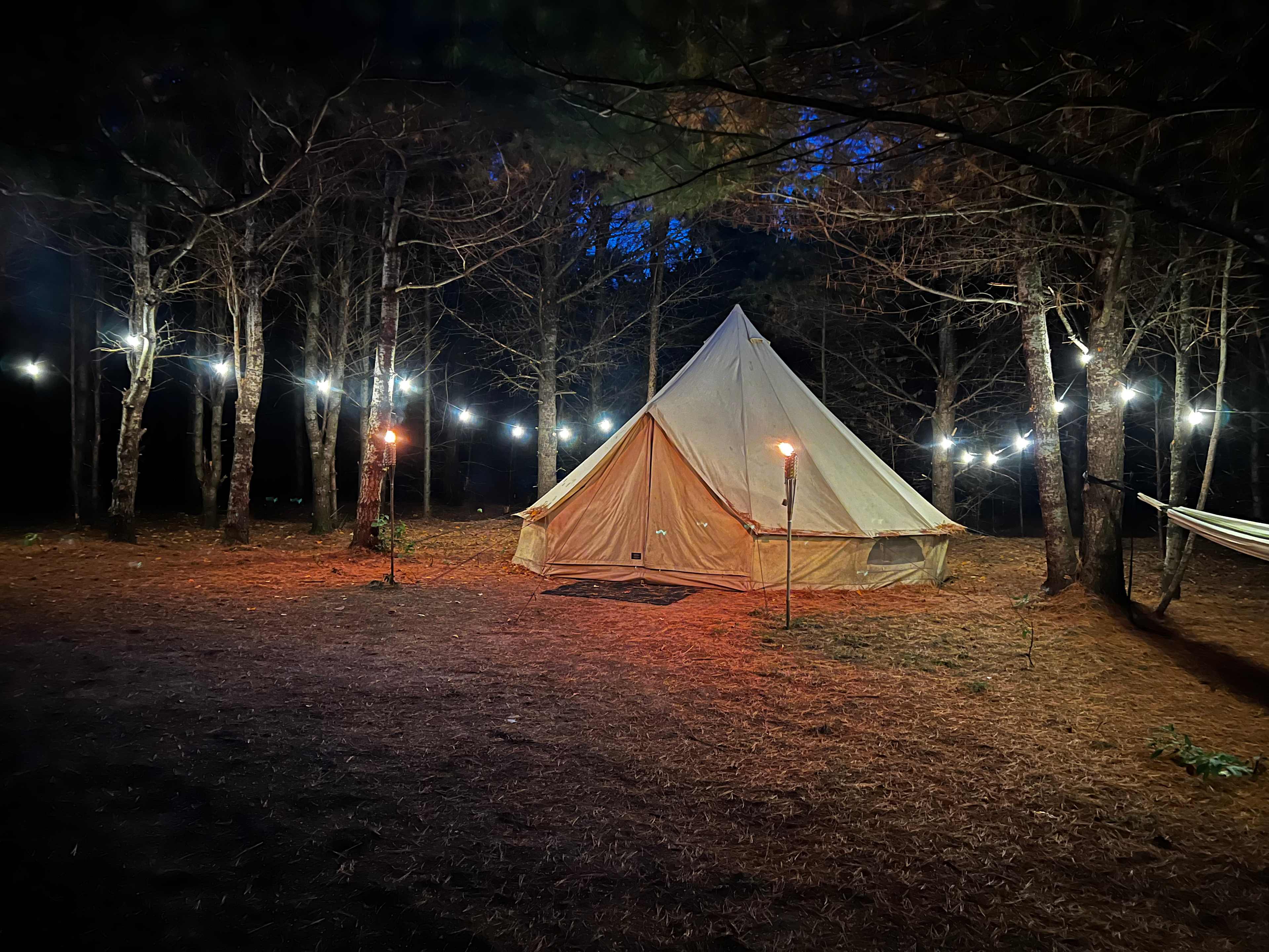 Picture of the site
