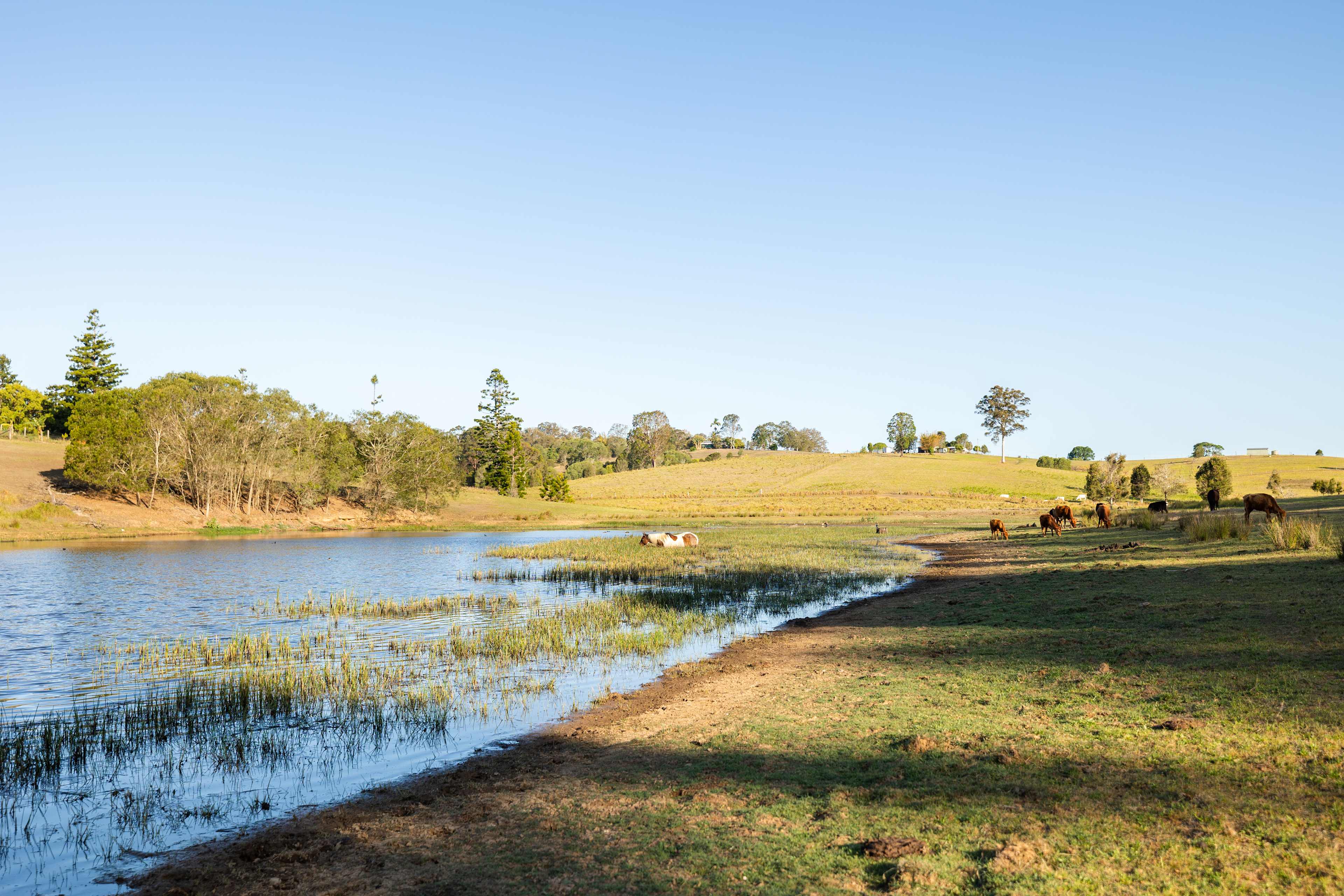 Dragonfly Place Farm Stay