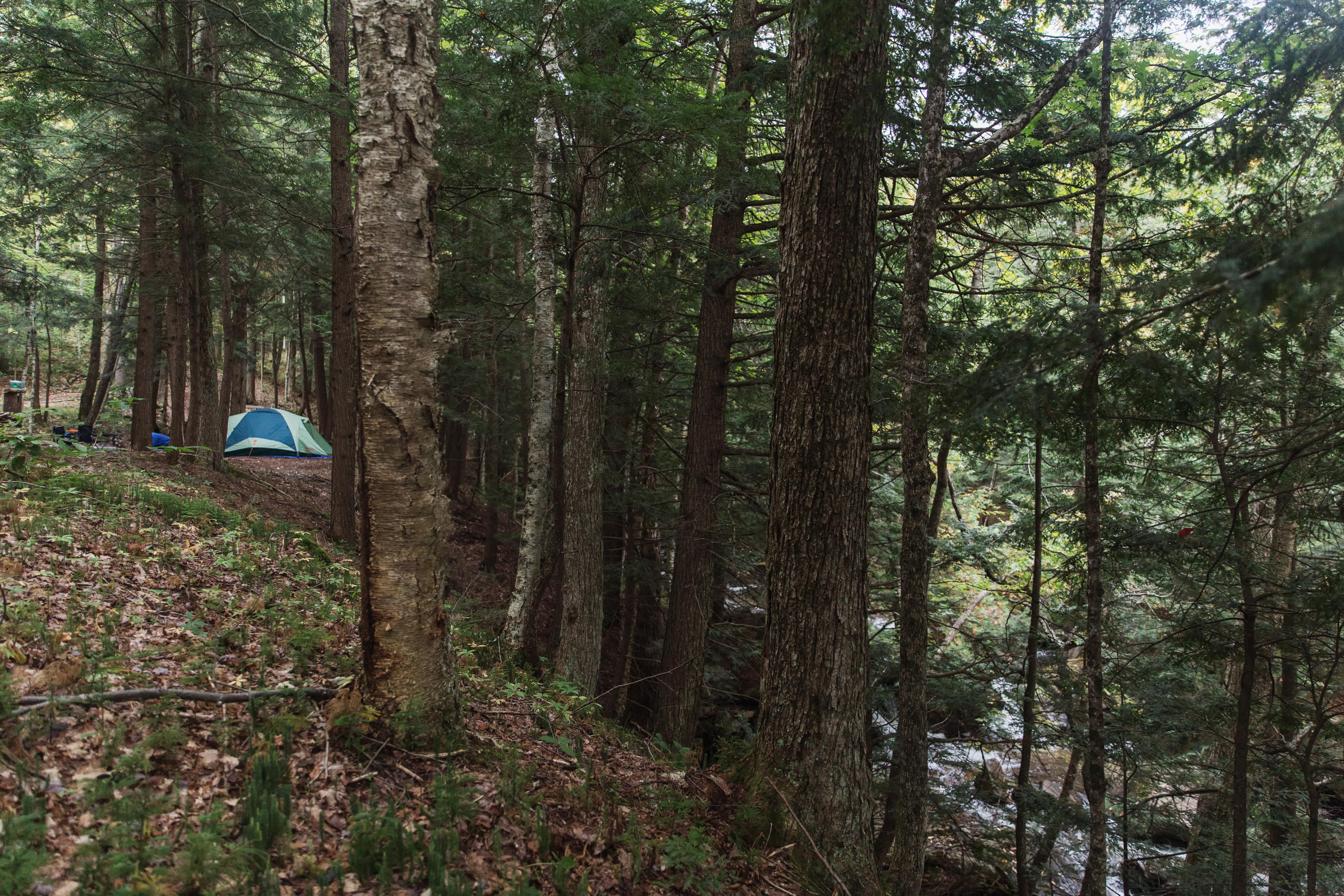 Willoughby Lake Waterfalls
