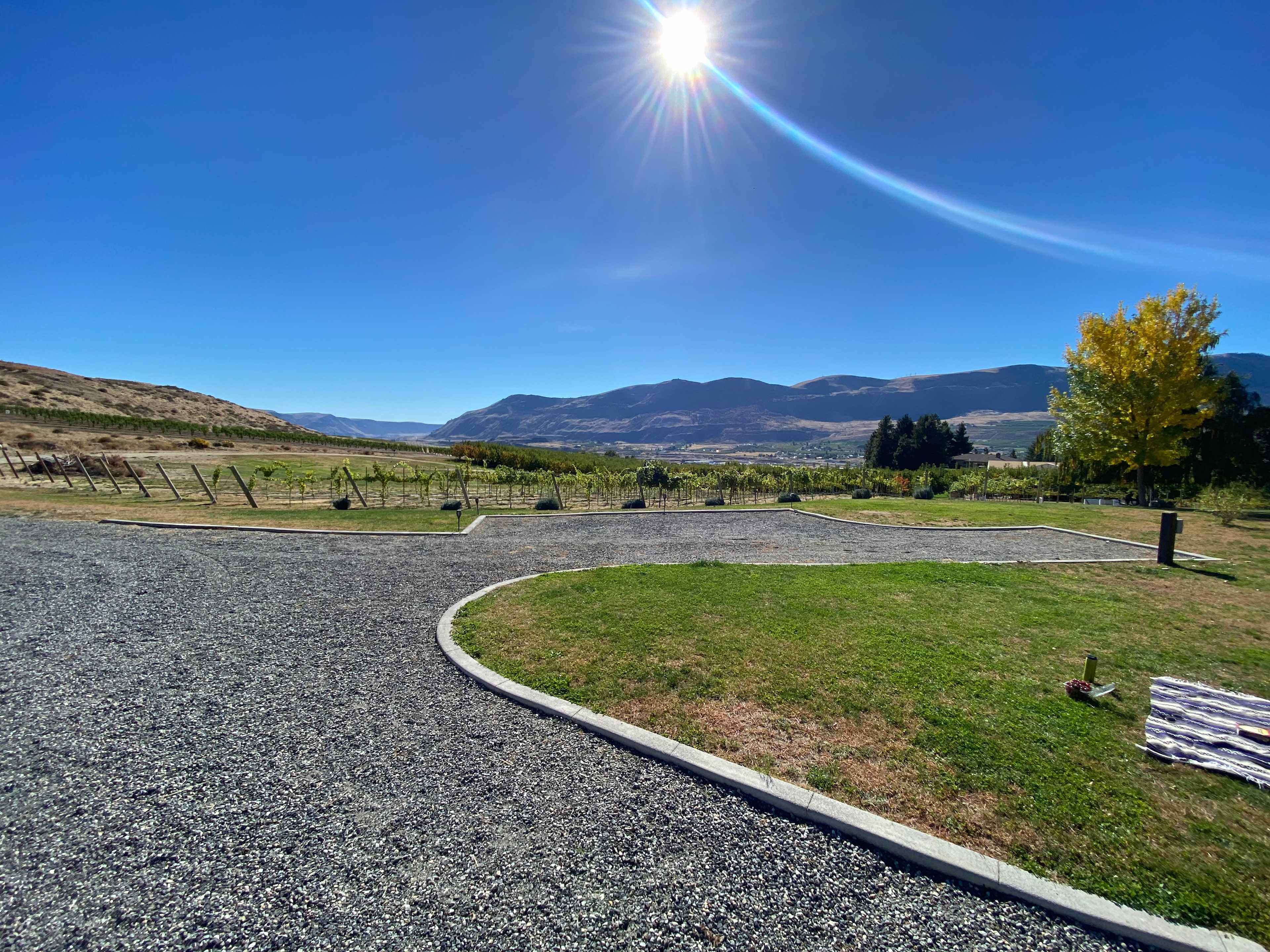 Picture of the site
