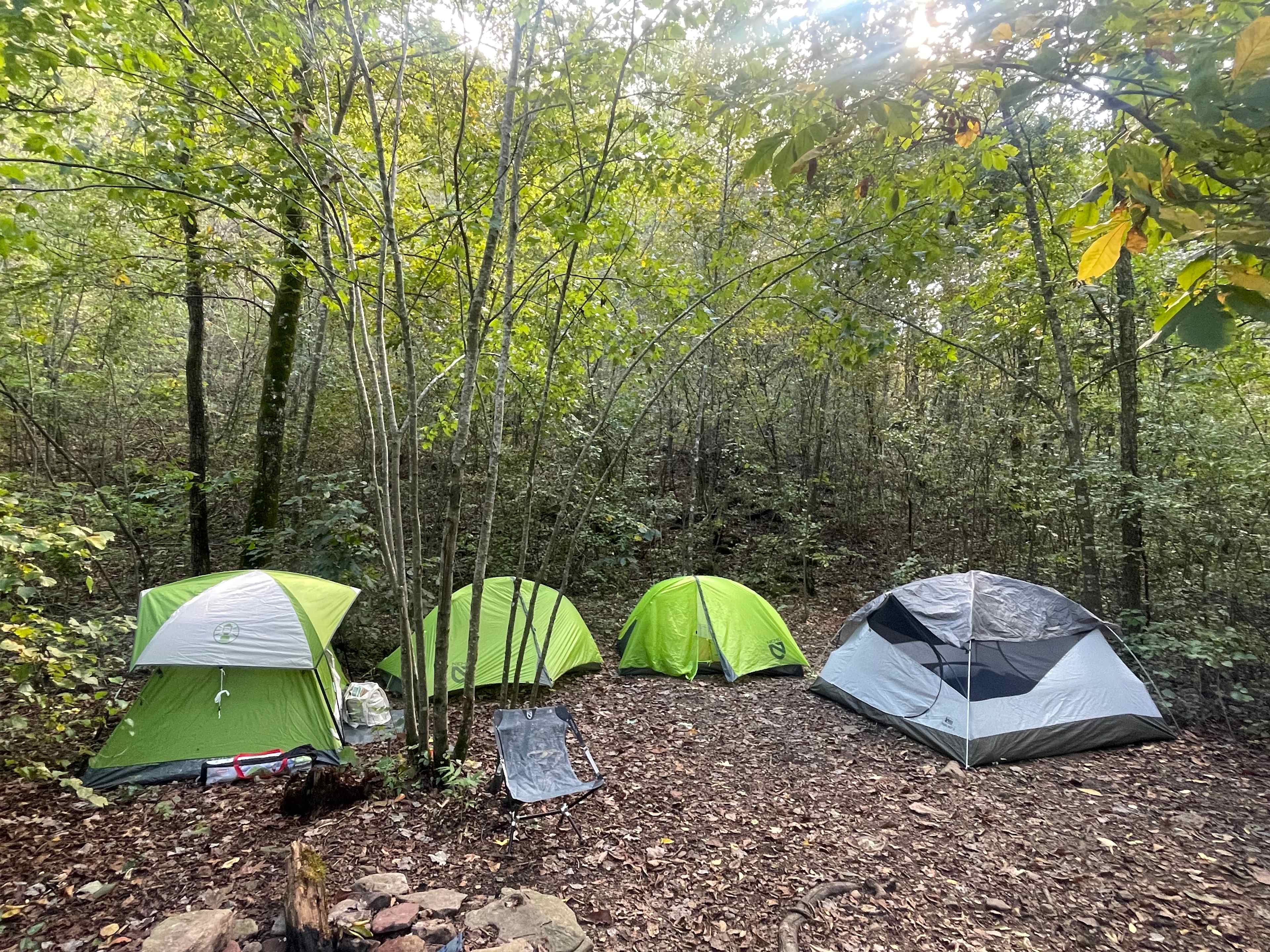 Picture of the site