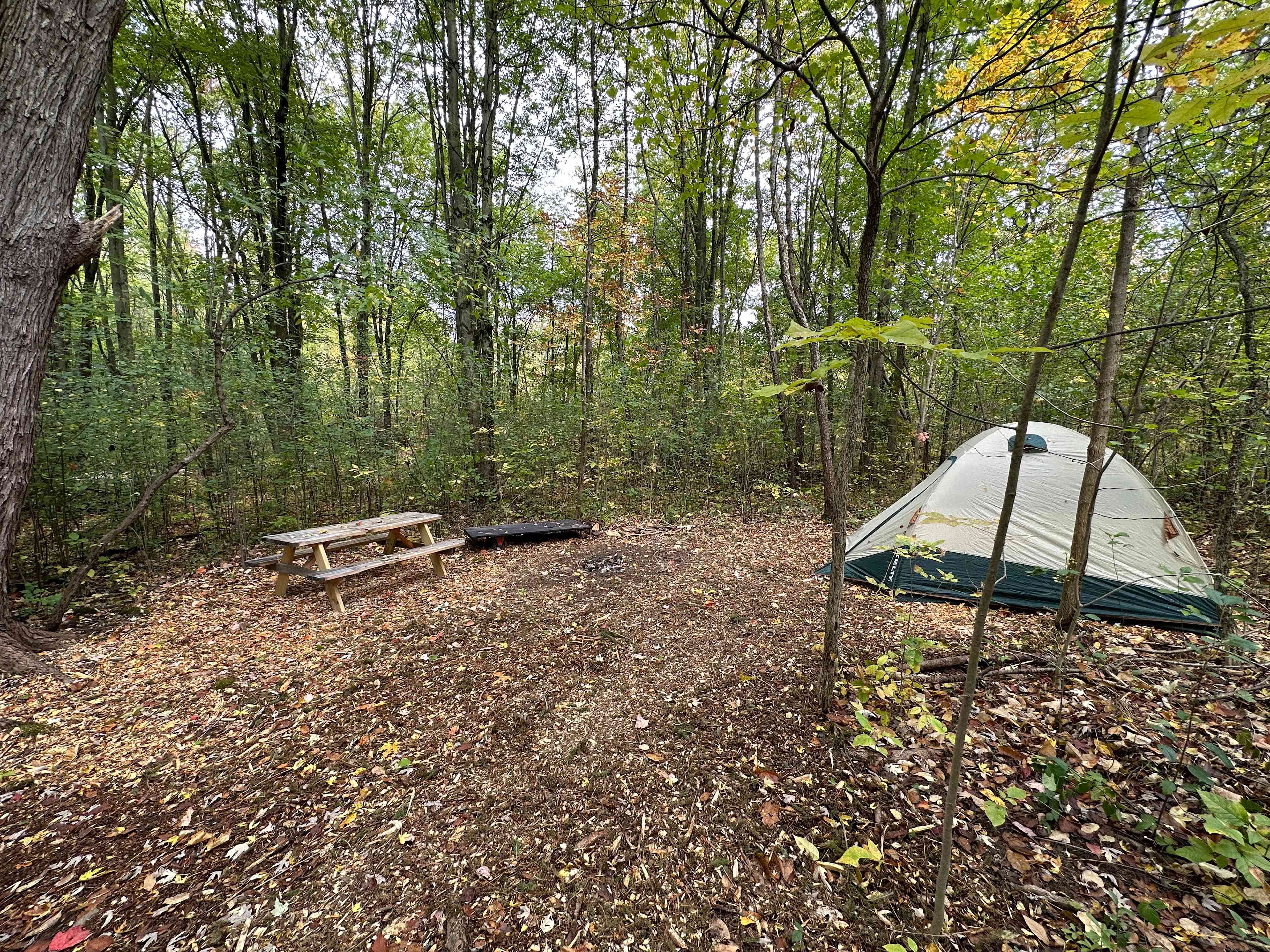 Tucked away a bit more, this site is still accessible from our main trail. 
