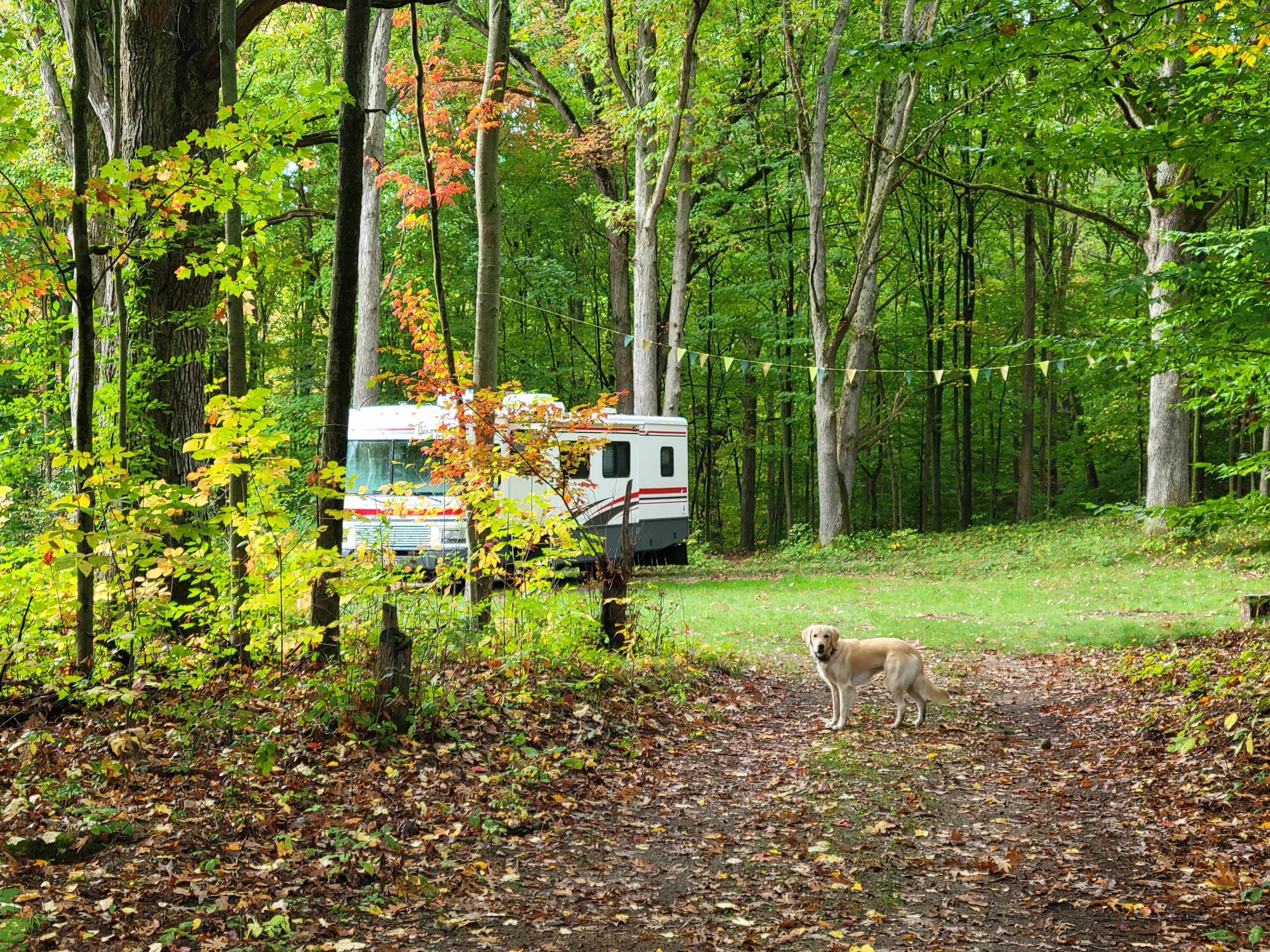 Still Waters 10-Acre Bell Tent Camp