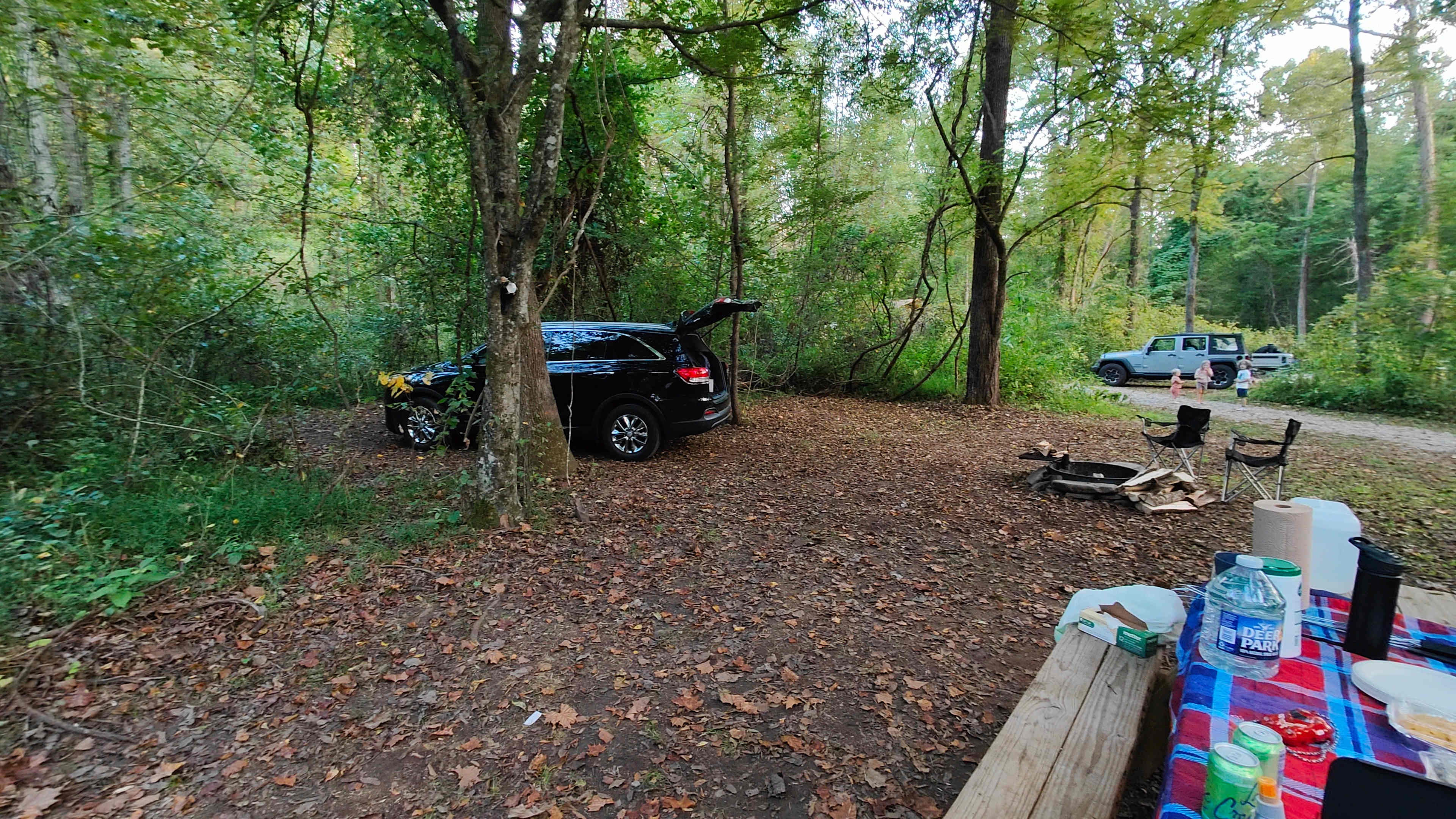 Picture of the site