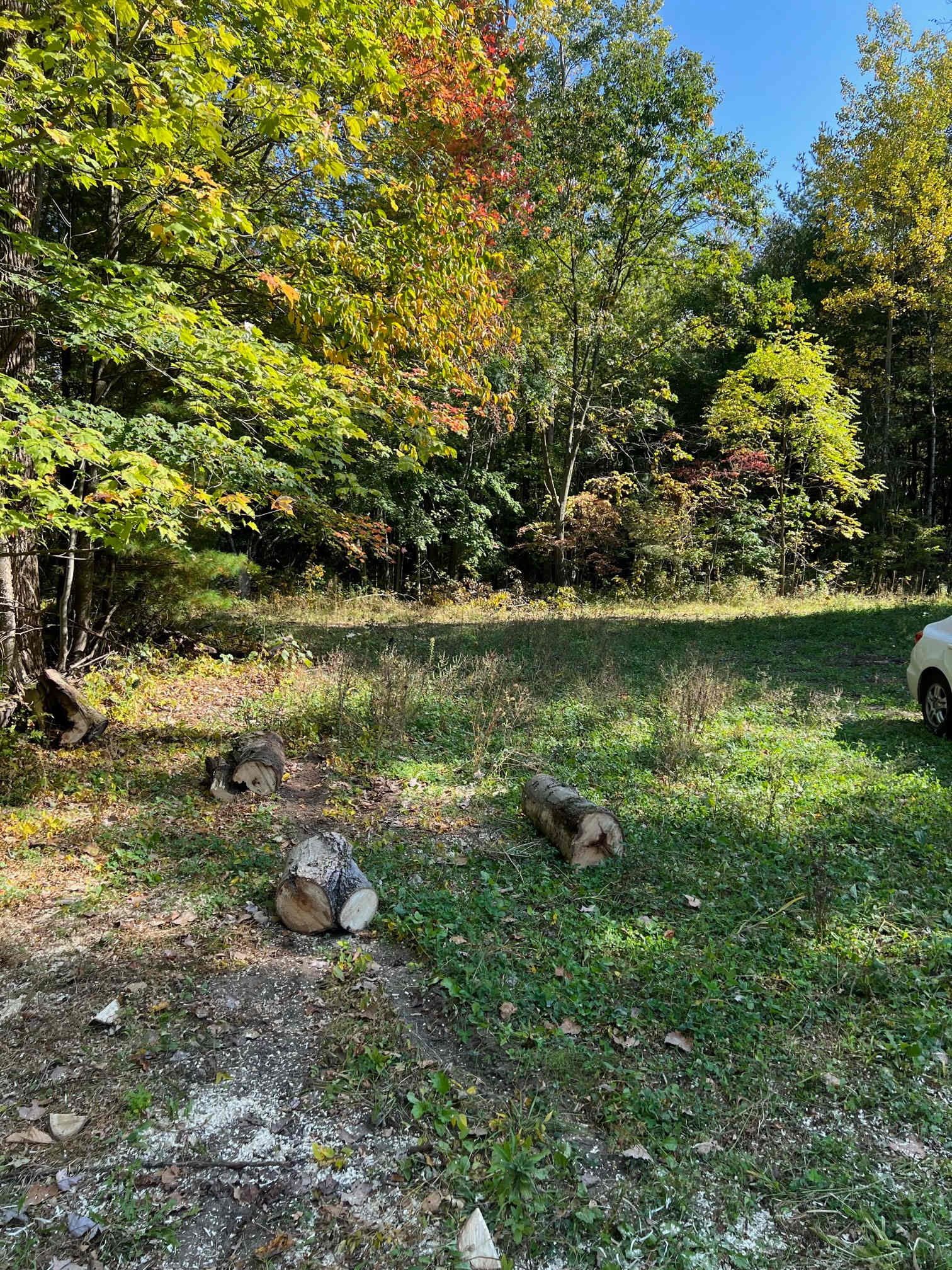 Pineground Retreat