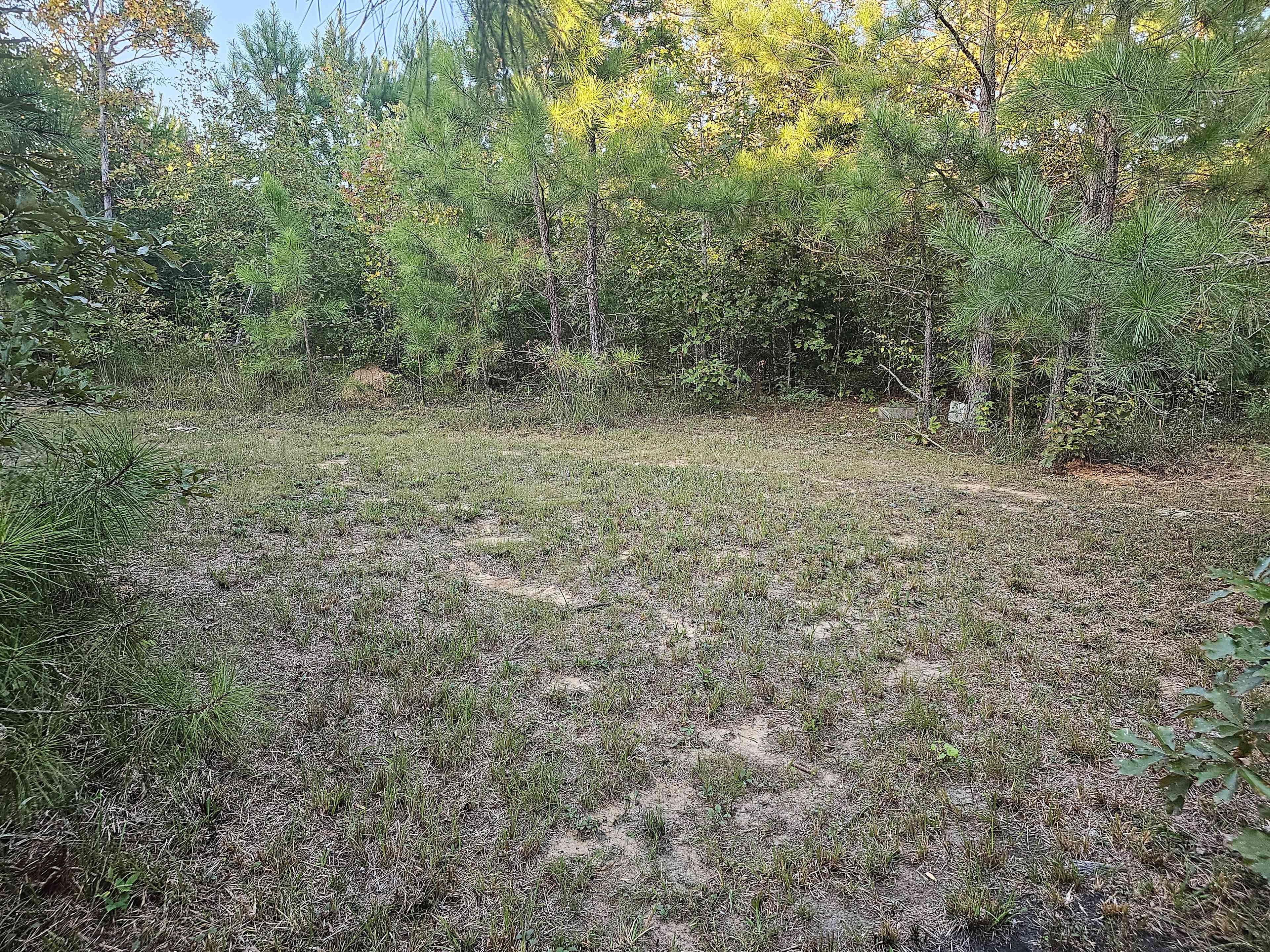 Drewfa Ranch