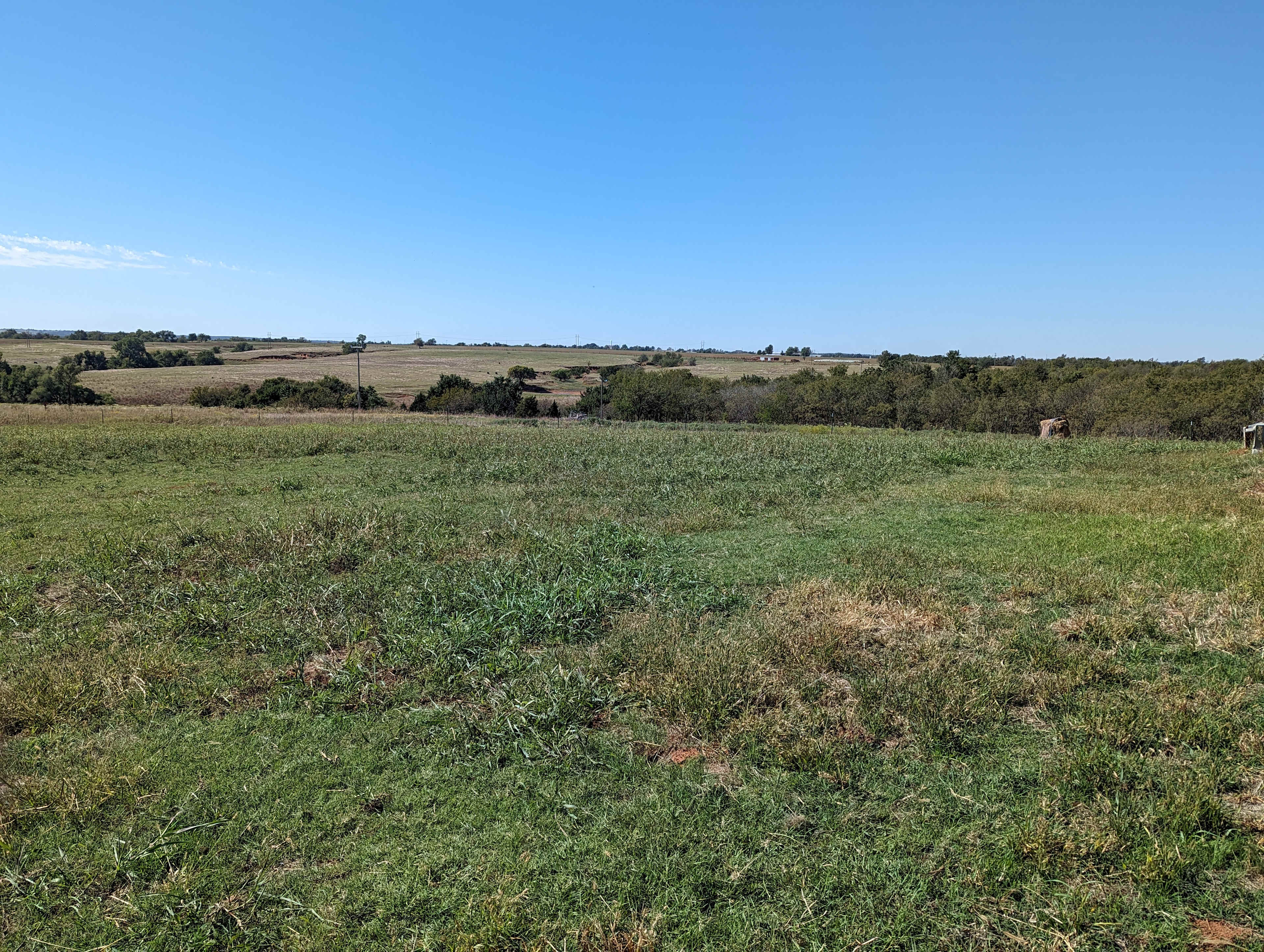 THE FARM