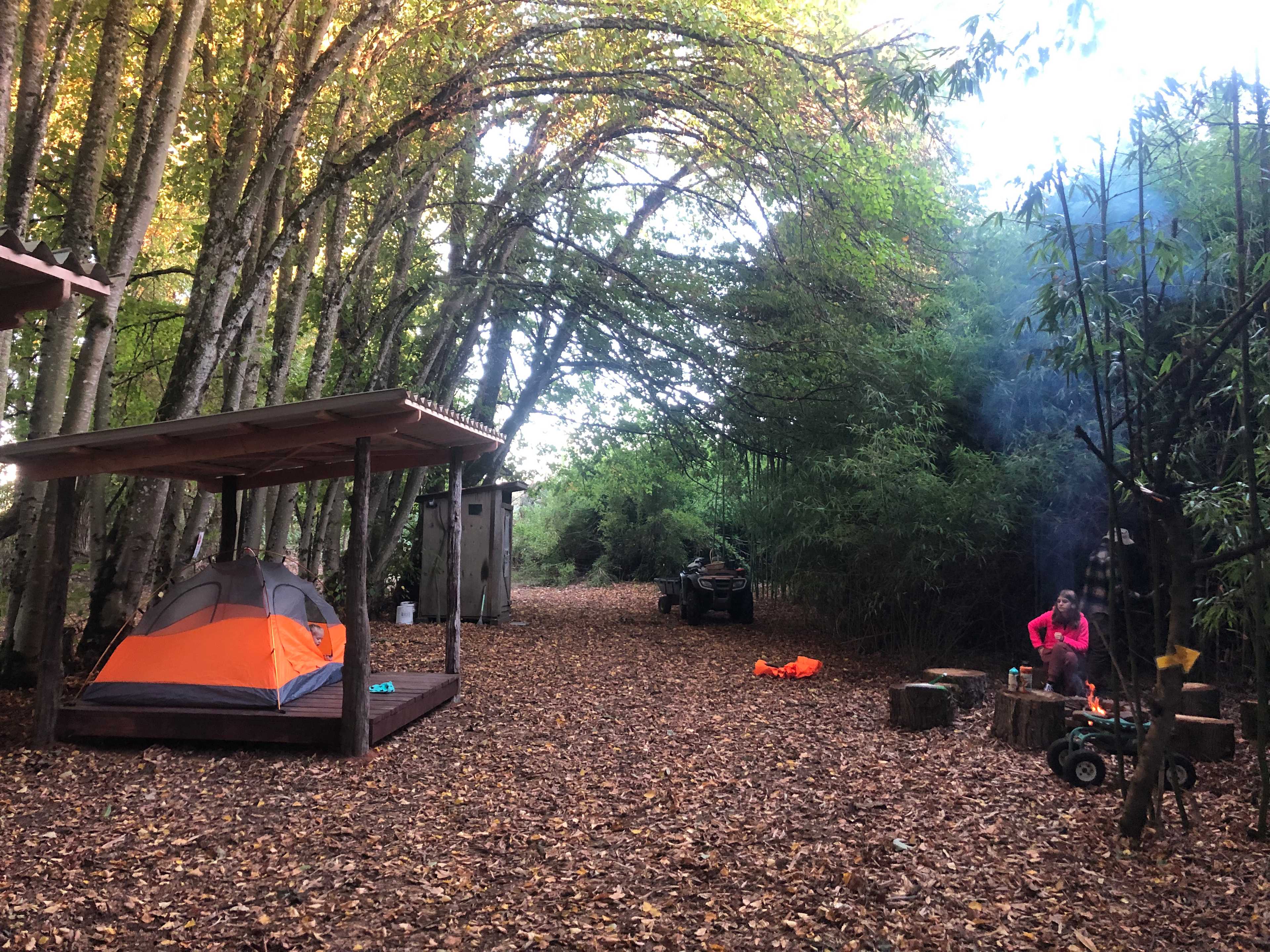Bamboo Forest Campsite