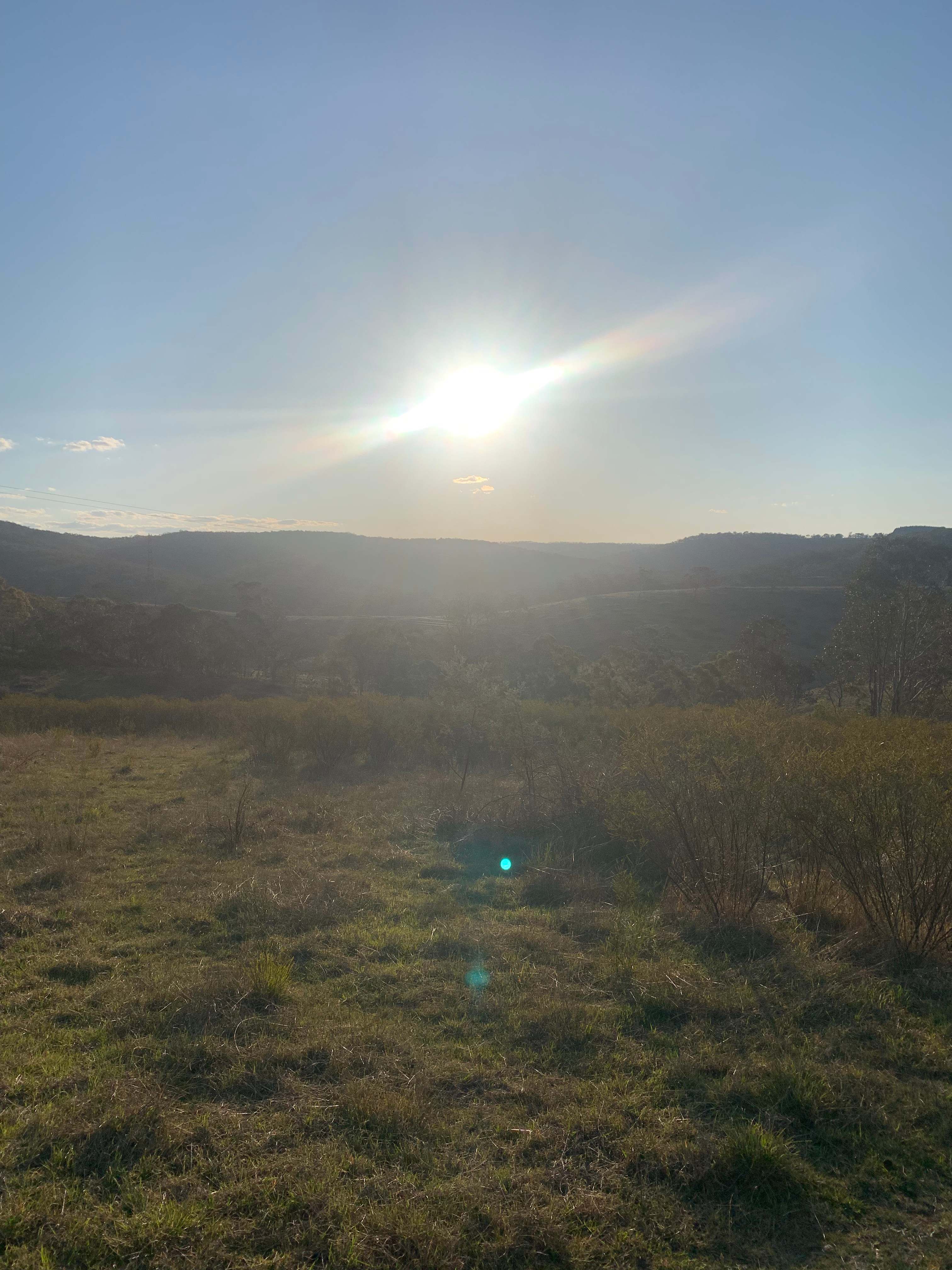 Daisy View Farm