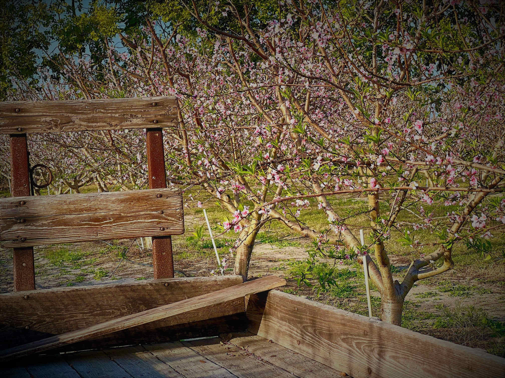 Fun photo ops around the farm.