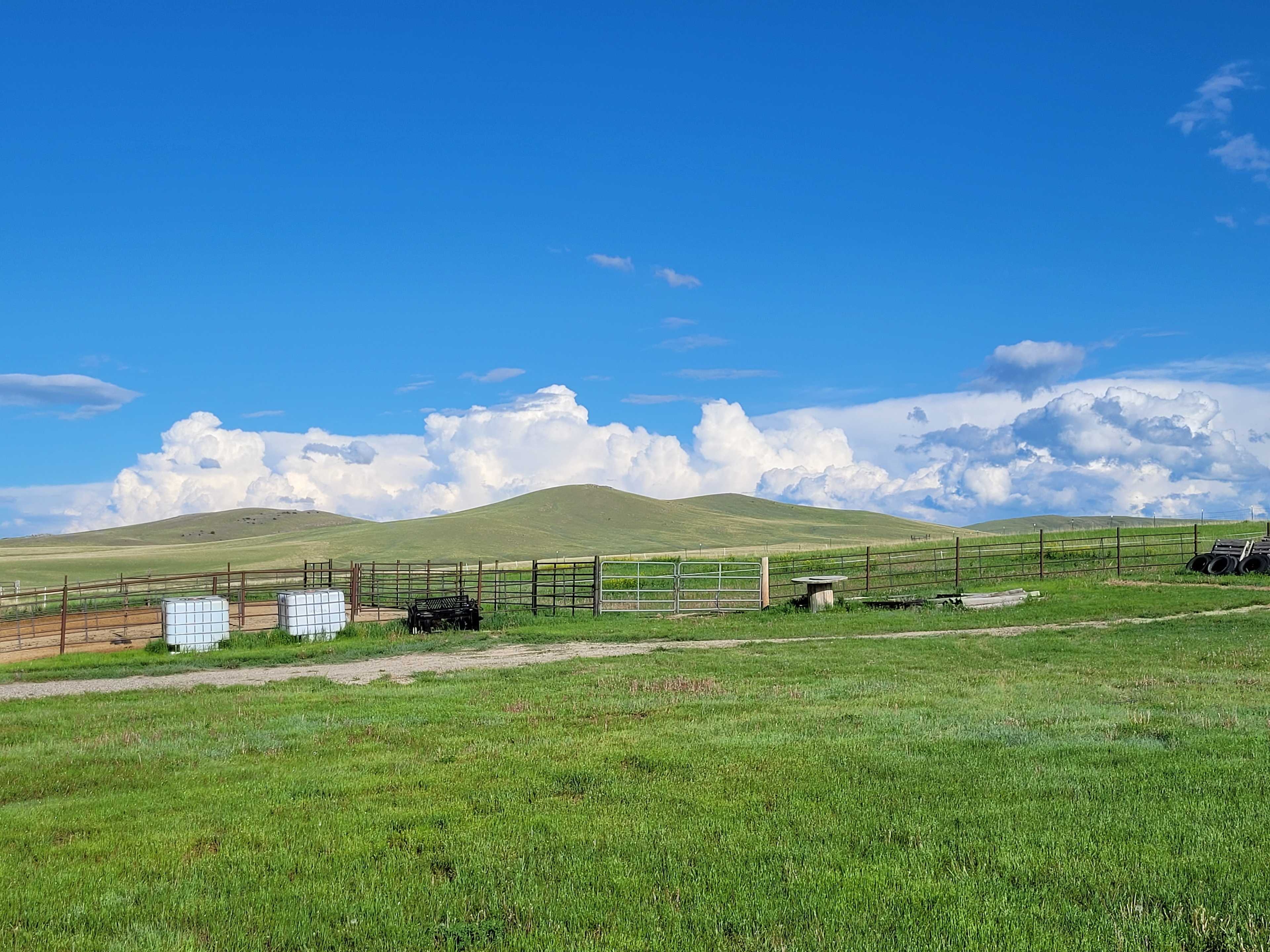 Davis Ranch
