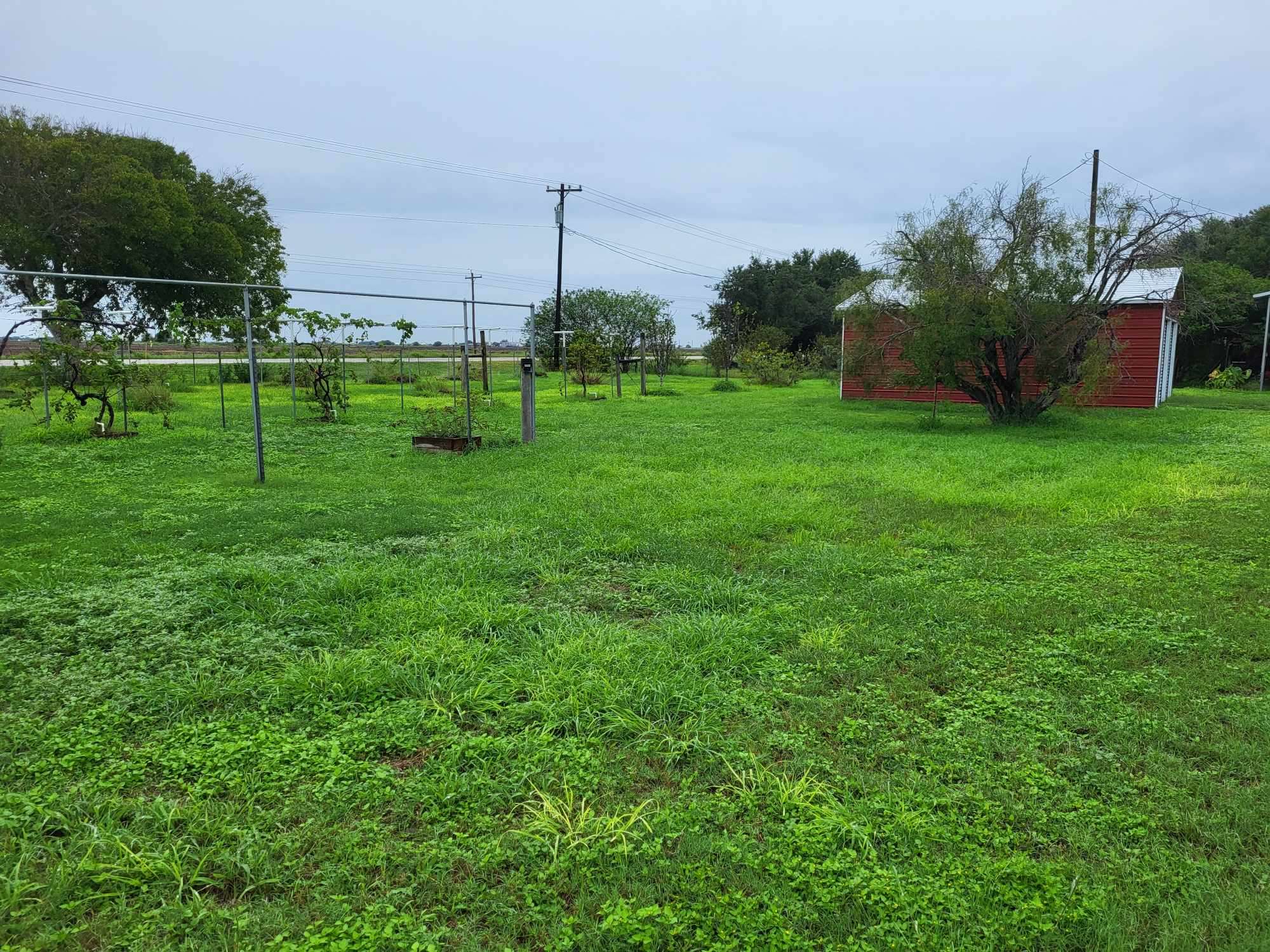 Freedom Harvest Farms