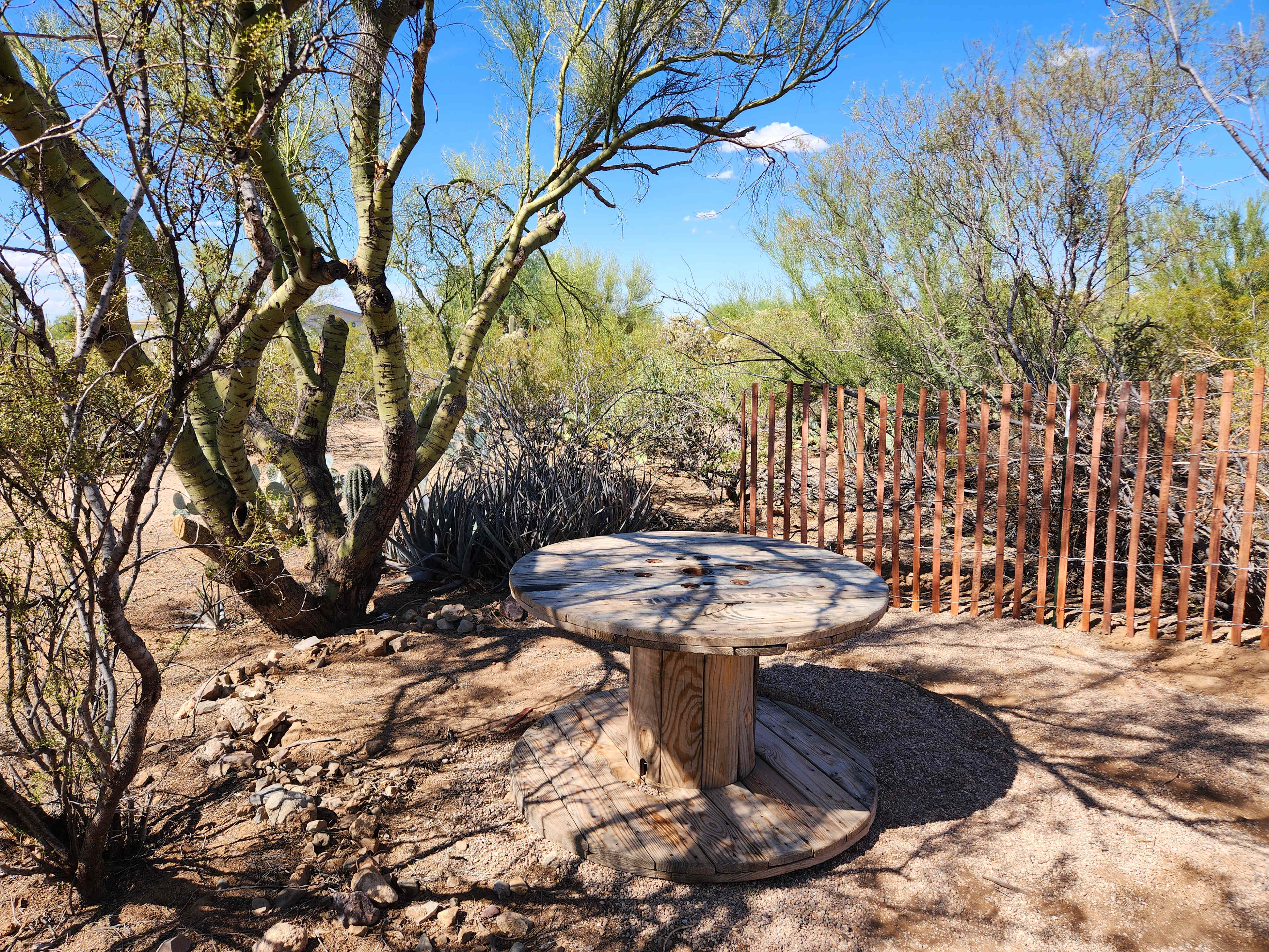 Picture of the site