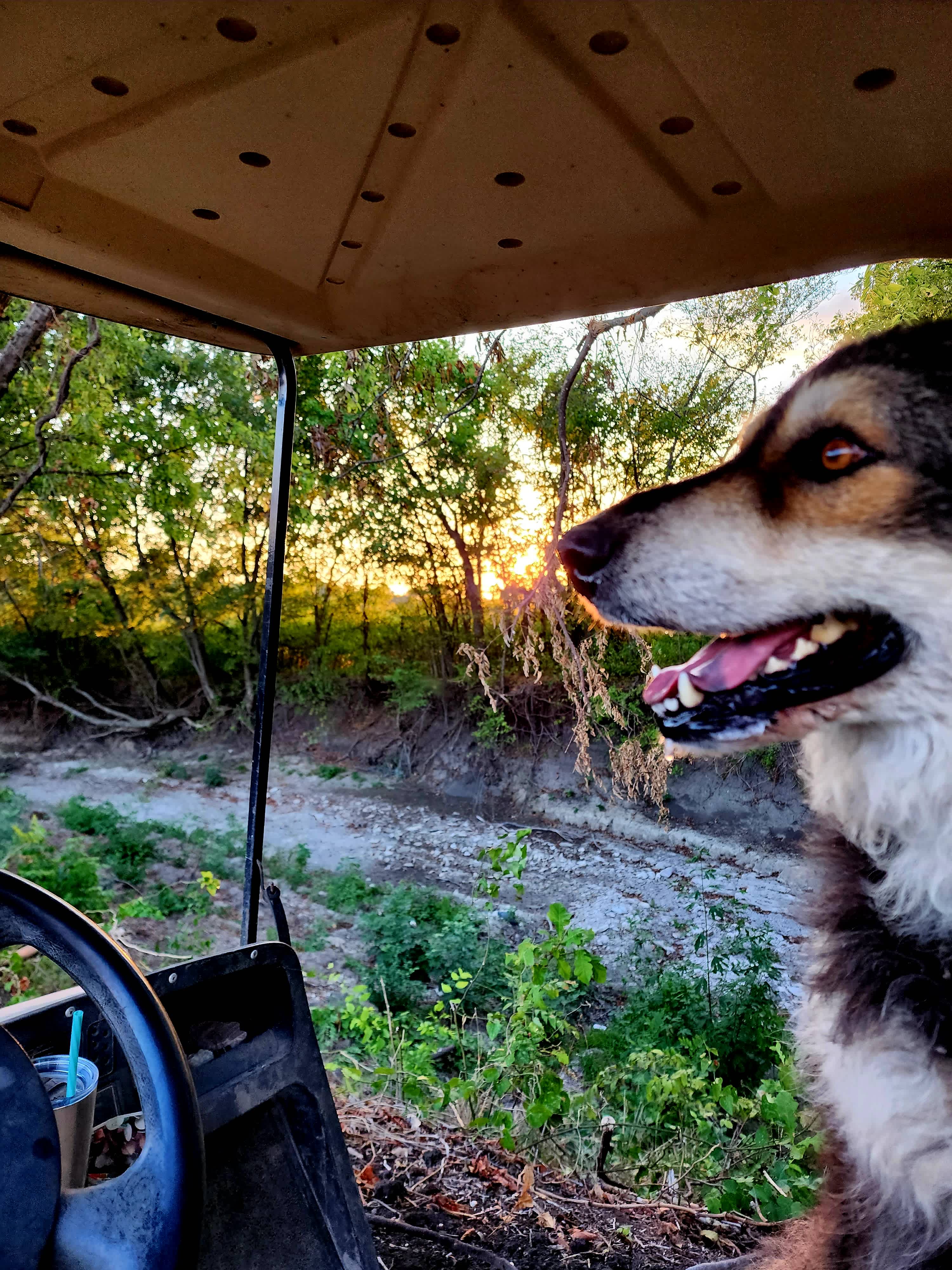 The PARK at Brushy Creek